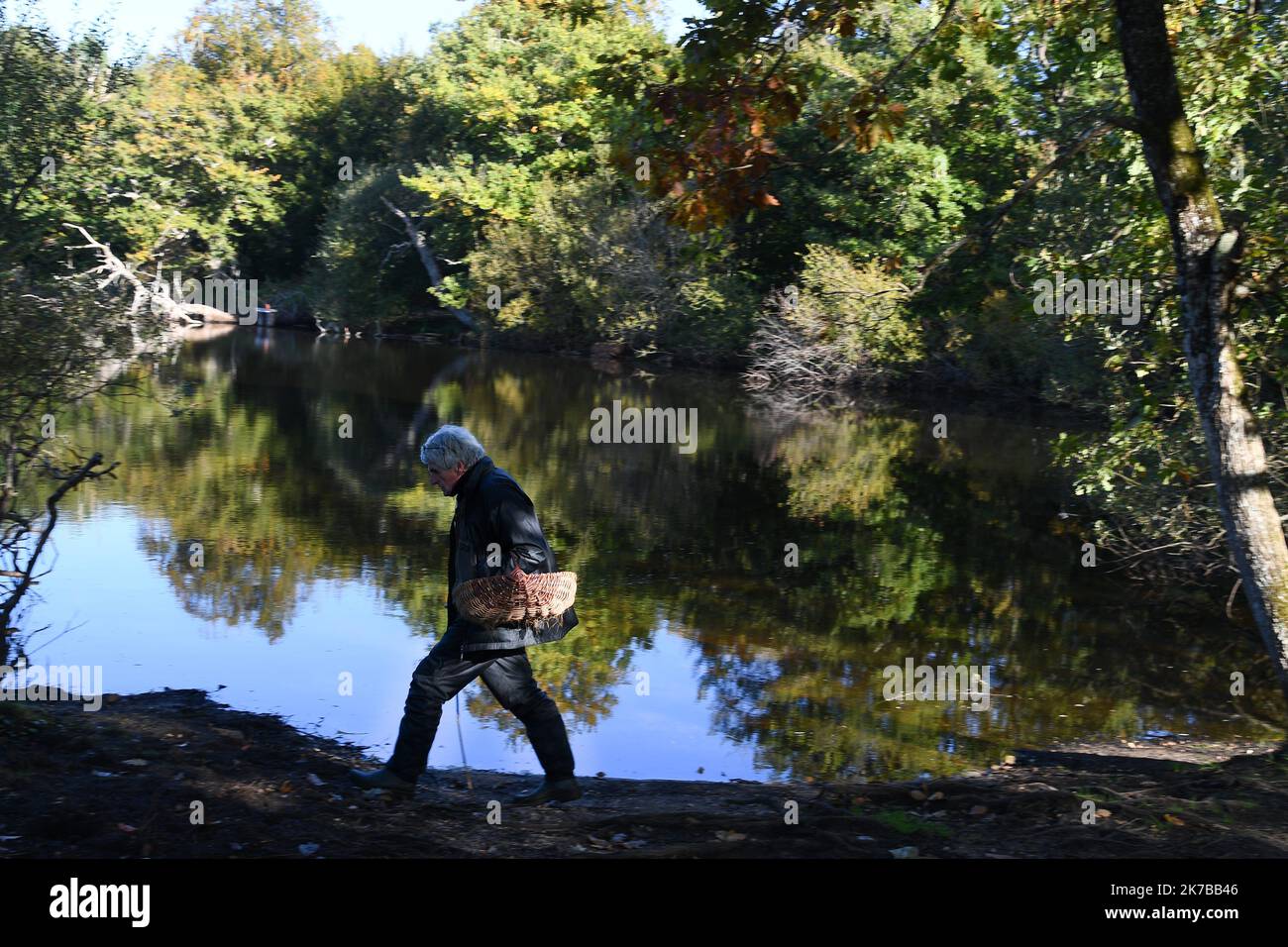 Â PHOTOPQR/LE COURRIER DE l'Ouest/Josselin clair ; ; 10/10/2020 ; Durtal ; 10/10/2020 ; Cueillette de champiognes dans la forêt de chambiers avec Remi Pean. illustration ballade, randonnee en foret - 2020/10/10. Cueillette de champignons en automne, France. Banque D'Images