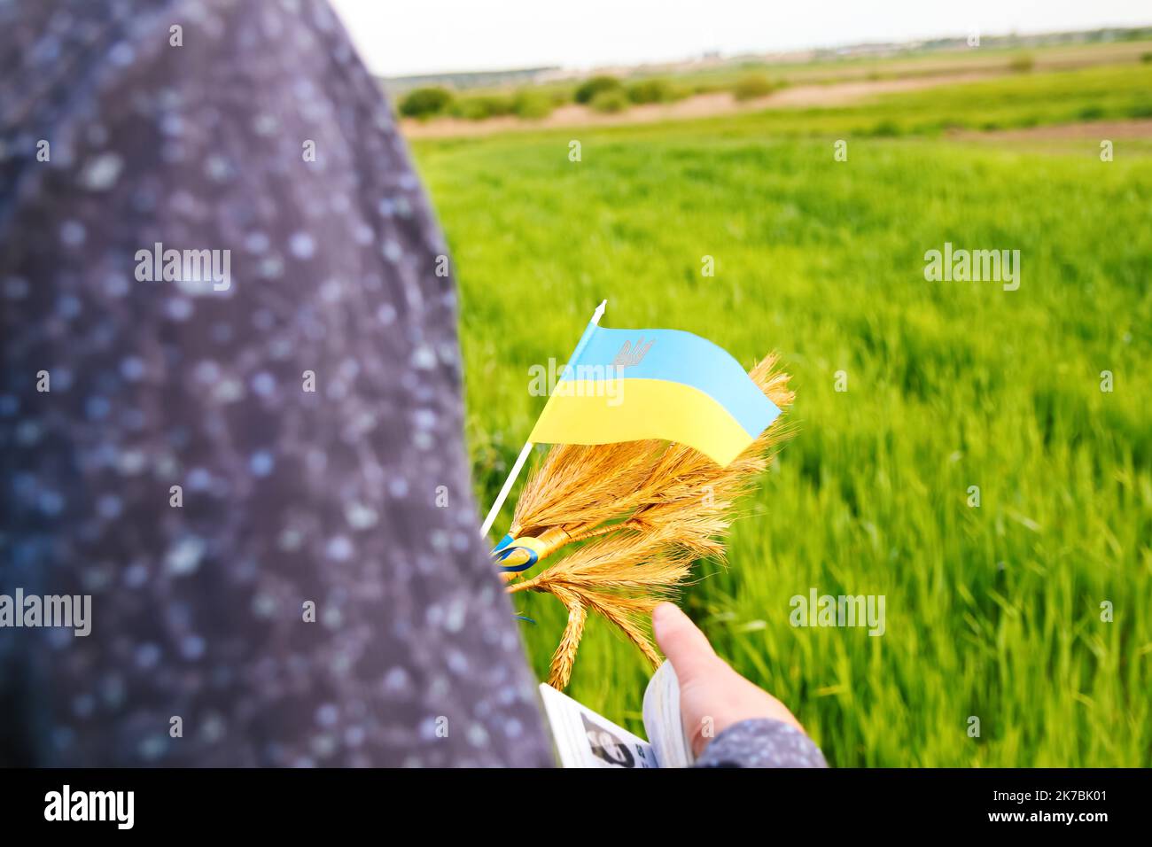 Recentrer le jeune homme portant un passeport ukrainien, un drapeau et des épis de blé attachés et un drapeau sur le fond de la nature du pré. Drapeau de l'Ukraine. Liberté Banque D'Images
