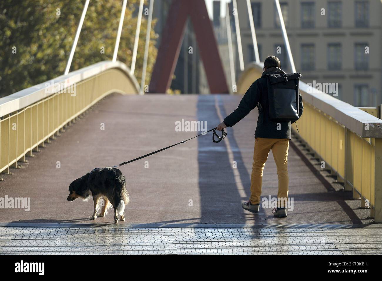 ©PHOTOPQR/LE PROGES/Maxime JegAT - Lyon 30/10/2020 - jour 1 du confinement à Lyon le 30 octobre 2020 -un homme promène son chien passerelle du Palais de Justice au premier jour du confinement à Lyon. - France, octobre 30th 2020 - un nouveau confinement contre la pandémie de Covid-19 s'est propagé, jusqu'en décembre 1st 2020 Banque D'Images
