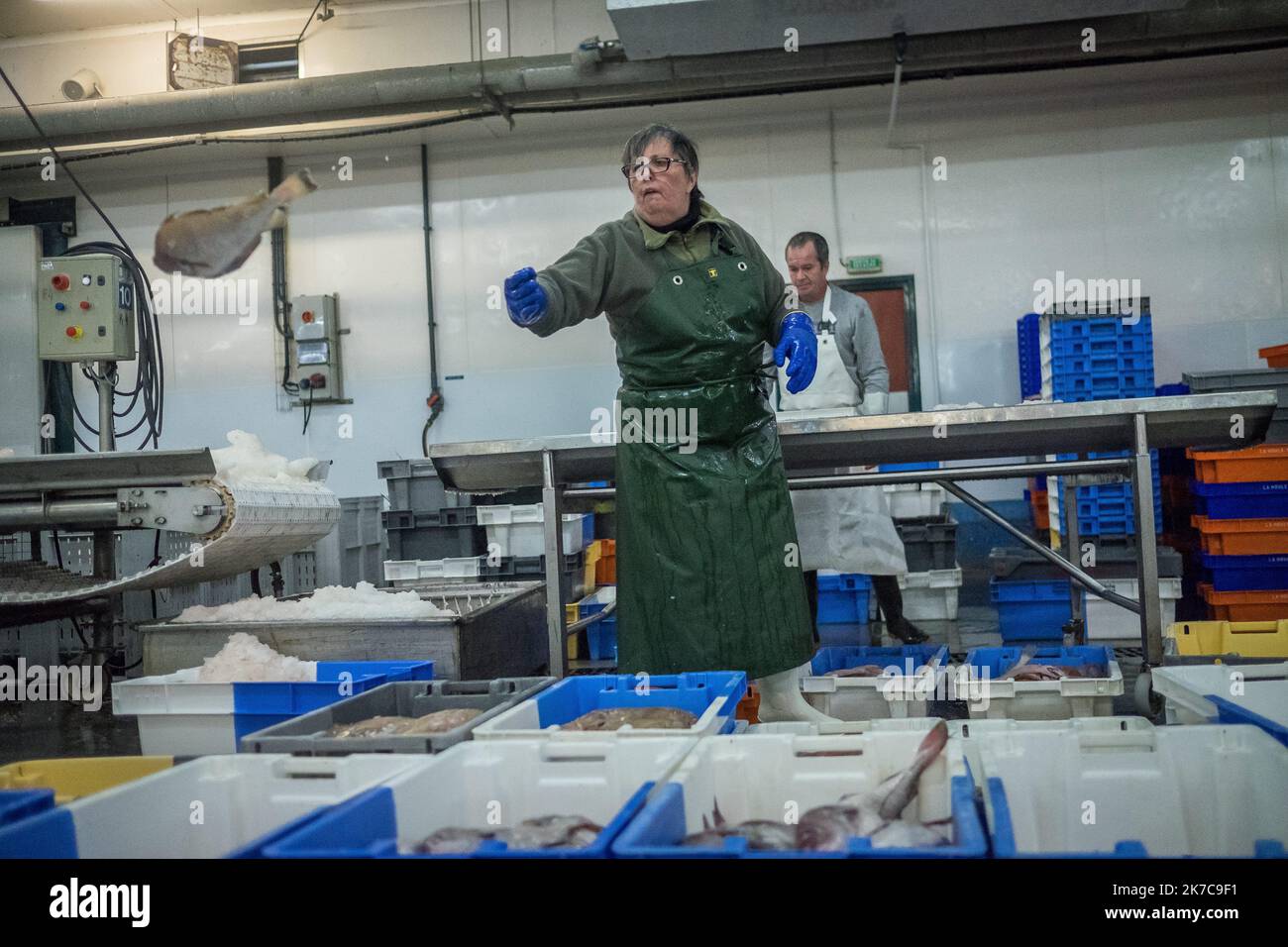 ©Olivier Donnars / le Pictorium / MAXPPP - Olivier Donnars / le Pictorium - 25/10/2015 - France / Bretagne / le Guilvinec - touche la nuit a la criée du Guilvinec (29), les dockers s'affairent un chaque trieur cargaison. La peche est repartie selon la taille des poissons et leur couleur. Les poissons blesses sont mis de côte. Le Guilvinec est le premier port francais de peche artisanale. / 25/10/2015 - France / Bretagne / le Guilvinec - toute la nuit aux enchères de Guilvinec (29), les dockers sont occupés à trier chaque cargaison. Les prises sont distribuées en fonction de la taille du poisson et de sa qualité. Banque D'Images