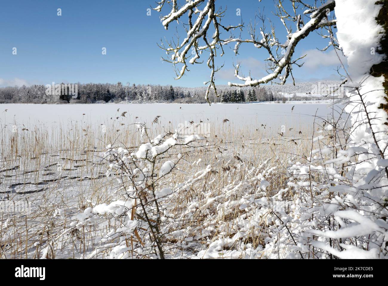 ©PHOTOPQR/LE PROGRES/Philippe TRIAS - 08/01/2021 - neige et glace, Haut-Jura, 8 janvier 2021. -Ambiance de paysage d'hiver dans le Jura. Les salaires du Jura ont revêtus leur plus beau marteau blanc. Entre lacs gelés et grandes échendues blanches, les images divergent magiques. Les eaux du Lac de l'Abbaye n'ont pas encore été réistées aux températures indigènes de ses derniers jours. - Fortes chutes de neige, montagnes du Jura en France. Banque D'Images