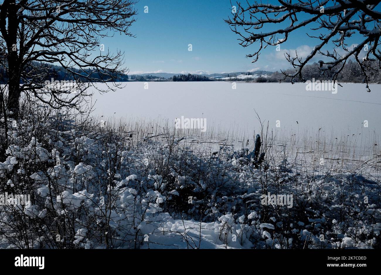 ©PHOTOPQR/LE PROGRES/Philippe TRIAS - 08/01/2021 - neige et glace, Haut-Jura, 8 janvier 2021. -Ambiance de paysage d'hiver dans le Jura. Les salaires du Jura ont revêtus leur plus beau marteau blanc. Entre lacs gelés et grandes échendues blanches, les images divergent magiques. Les eaux du Lac de l'Abbaye n'ont pas encore été réistées aux températures indigènes de ses derniers jours. - Fortes chutes de neige, montagnes du Jura en France. Banque D'Images
