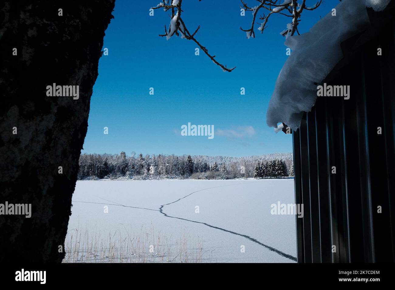 ©PHOTOPQR/LE PROGRES/Philippe TRIAS - 08/01/2021 - neige et glace, Haut-Jura, 8 janvier 2021. -Ambiance de paysage d'hiver dans le Jura. Les salaires du Jura ont revêtus leur plus beau marteau blanc. Entre lacs gelés et grandes échendues blanches, les images divergent magiques. Les eaux du Lac de l'Abbaye n'ont pas encore été réistées aux températures indigènes de ses derniers jours. - Fortes chutes de neige, montagnes du Jura en France. Banque D'Images