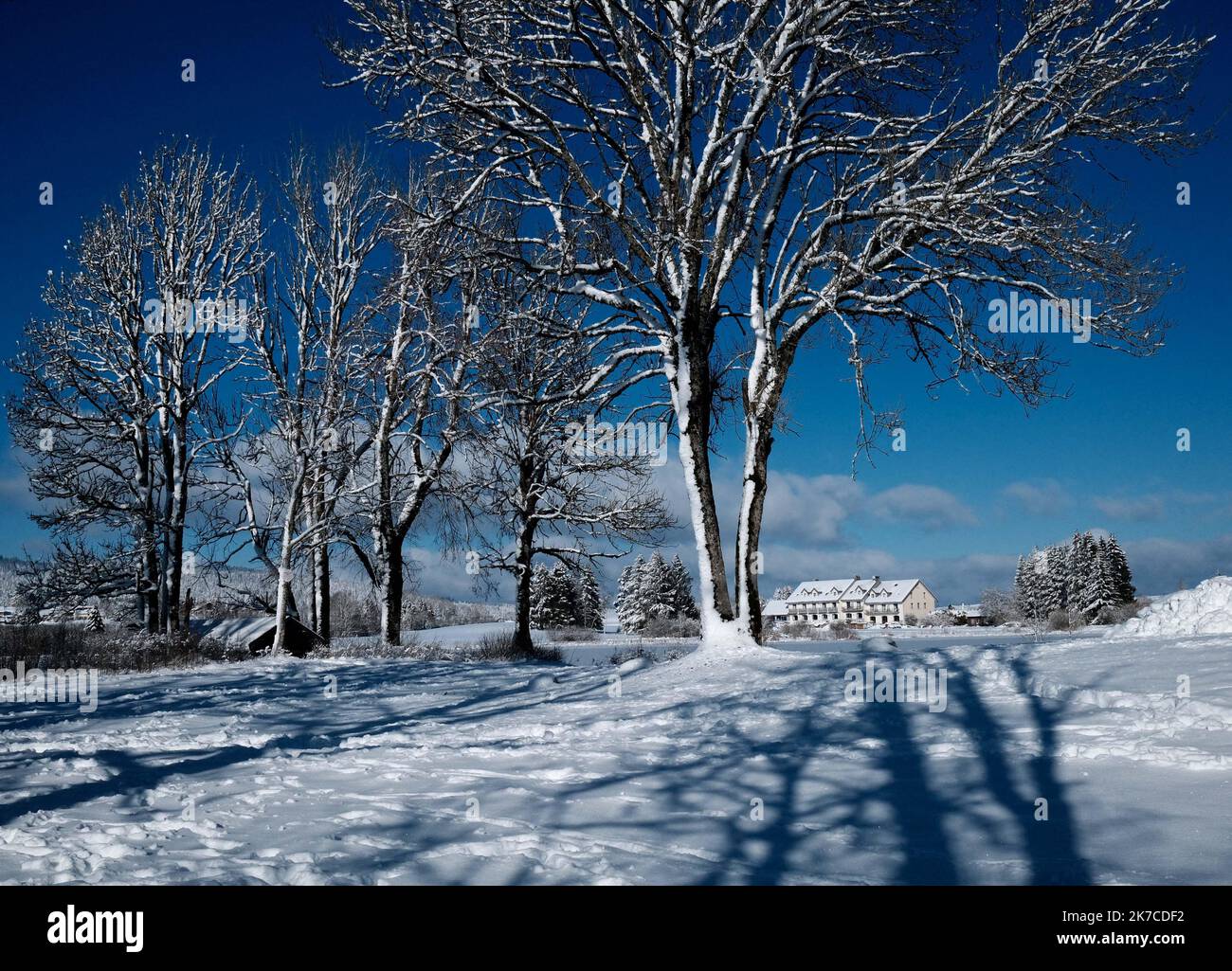 ©PHOTOPQR/LE PROGRES/Philippe TRIAS - 08/01/2021 - neige et glace, Haut-Jura, 8 janvier 2021. -Ambiance de paysage d'hiver dans le Jura. Les salaires du Jura ont revêtus leur plus beau marteau blanc. Entre lacs gelés et grandes échendues blanches, les images divergent magiques. Les eaux du Lac de l'Abbaye n'ont pas encore été réistées aux températures indigènes de ses derniers jours. - Fortes chutes de neige, montagnes du Jura en France. Banque D'Images
