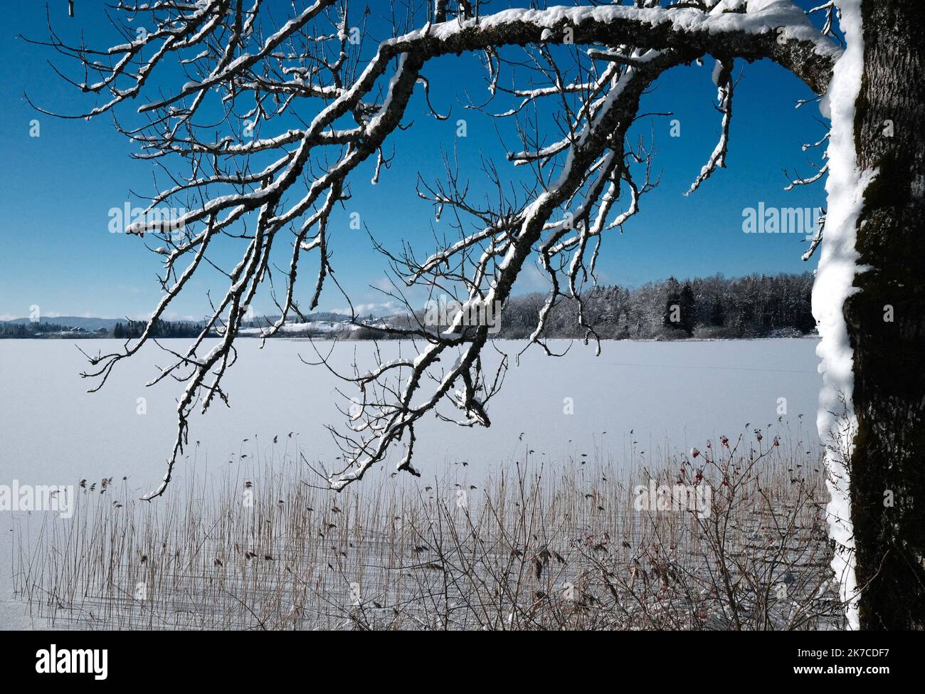 ©PHOTOPQR/LE PROGRES/Philippe TRIAS - 08/01/2021 - neige et glace, Haut-Jura, 8 janvier 2021. -Ambiance de paysage d'hiver dans le Jura. Les salaires du Jura ont revêtus leur plus beau marteau blanc. Entre lacs gelés et grandes échendues blanches, les images divergent magiques. Les eaux du Lac de l'Abbaye n'ont pas encore été réistées aux températures indigènes de ses derniers jours. - Fortes chutes de neige, montagnes du Jura en France. Banque D'Images