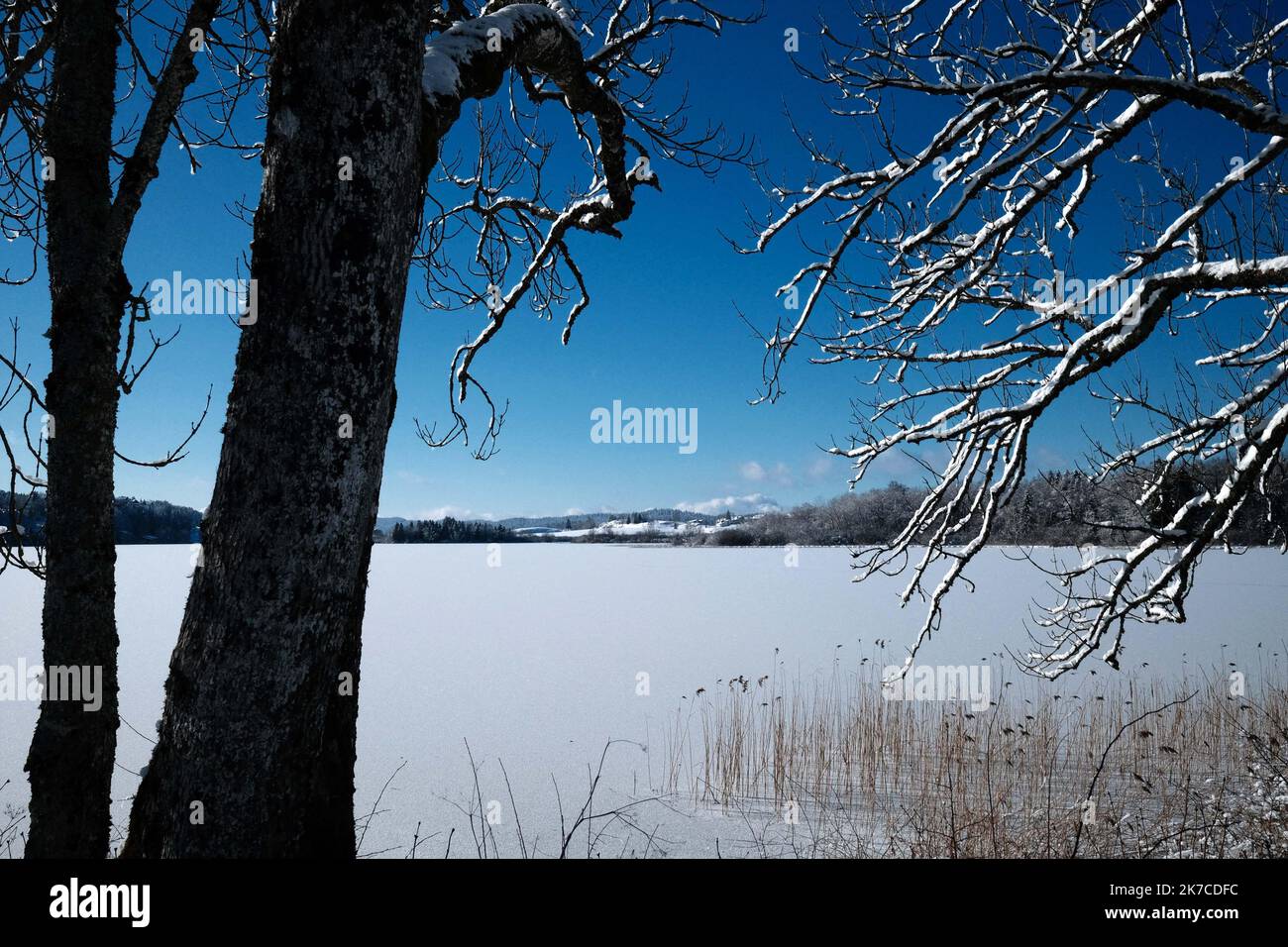 ©PHOTOPQR/LE PROGRES/Philippe TRIAS - 08/01/2021 - neige et glace, Haut-Jura, 8 janvier 2021. -Ambiance de paysage d'hiver dans le Jura. Les salaires du Jura ont revêtus leur plus beau marteau blanc. Entre lacs gelés et grandes échendues blanches, les images divergent magiques. Les eaux du Lac de l'Abbaye n'ont pas encore été réistées aux températures indigènes de ses derniers jours. - Fortes chutes de neige, montagnes du Jura en France. Banque D'Images