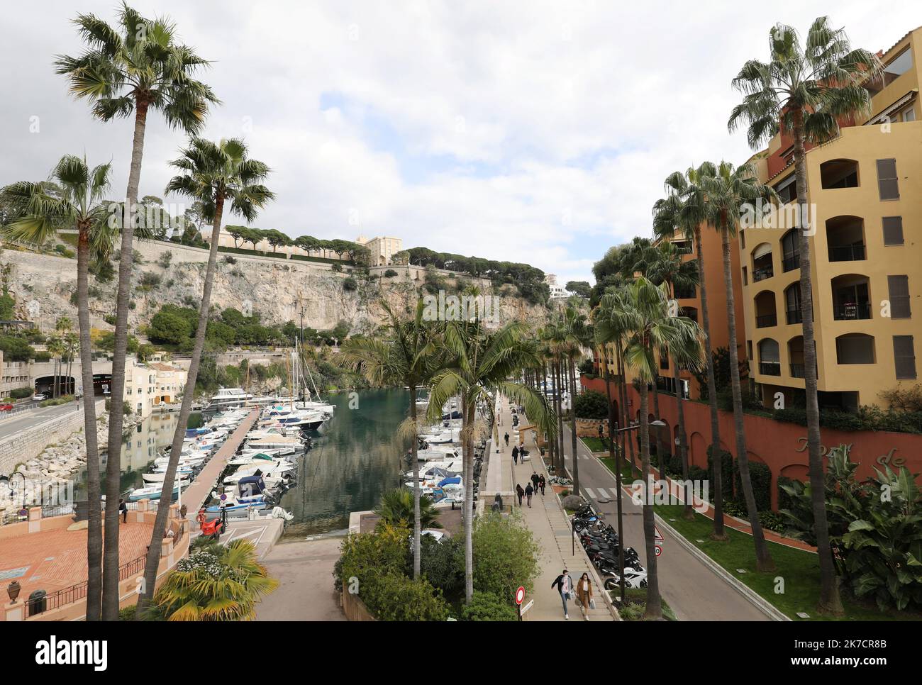 ©PHOTOPQR/NICE MATIN/Jean François Ottonello ; Monaco ; 19/02/2021 ; Illustration des palmiers à Monaco qui ont été traversés contre le charançon rouge du palmier. Monaco, 19th 2021 février - les palmTrees de Monaco recevront un traitement contre les parasites Banque D'Images