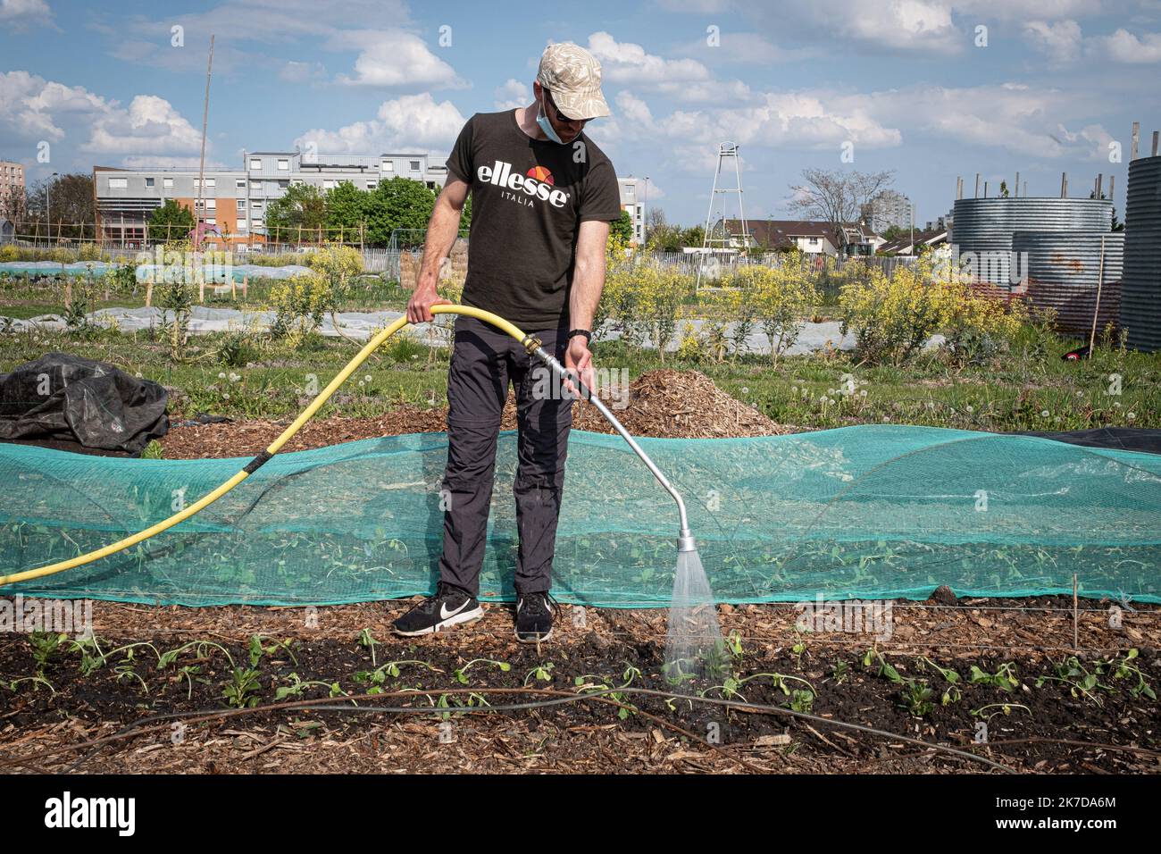 ©Olivier Donnars / le Pictorium/MAXPPP - Olivier Donnars / le Pictorium - 20/4/2021 - France / Ile-de-France / Saint-Denis - Tristan, jeune professionnel de la science de la vie et de la terre en recherche de reconversion dans l'horticulture, Arrose des plantes de tournesol qu'il vient de planter au jardin de l'association zone sensible, a Saint-Denis (93). Du 15 avril au 15 mai 2021, plusieurs fermes urbaines de Paris et sa banlieue ouvrent les murs aux etudiants pour ompre l'isolement et retre les jeunes générations de la nature. / 20/4/2021 - France / Ile-de-France (région) / Saint-Denis Banque D'Images