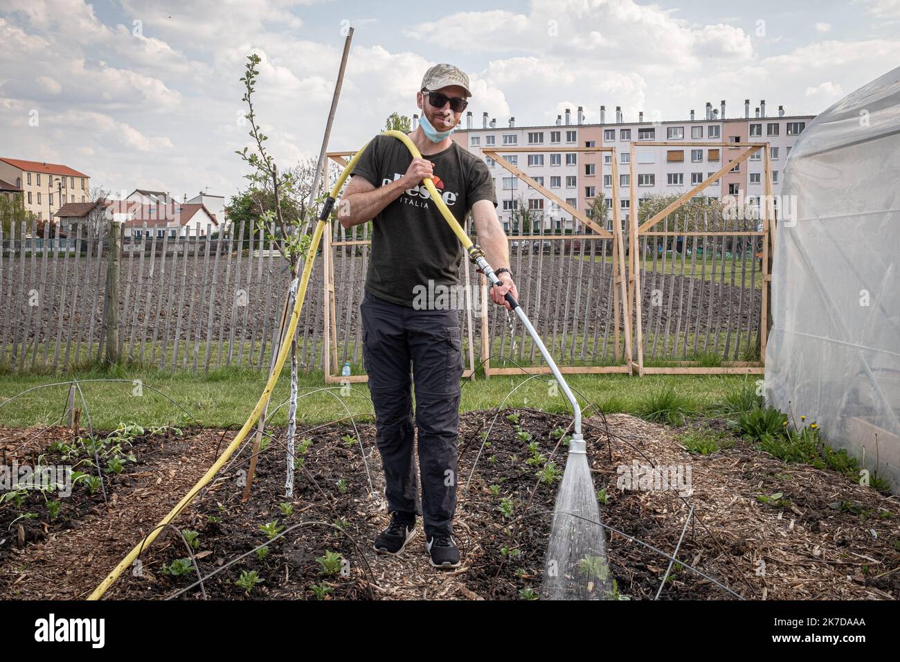 ©Olivier Donnars / le Pictorium/MAXPPP - Olivier Donnars / le Pictorium - 20/4/2021 - France / Ile-de-France / Saint-Denis - Tristan, jeune professionnel de la science de la vie et de la terre en recherche de reconversion dans l'horticulture, Arrose des plantes de tournesol qu'il vient de planter au jardin de l'association zone sensible, a Saint-Denis (93). Du 15 avril au 15 mai 2021, plusieurs fermes urbaines de Paris et sa banlieue ouvrent les murs aux etudiants pour ompre l'isolement et retre les jeunes générations de la nature. / 20/4/2021 - France / Ile-de-France (région) / Saint-Denis Banque D'Images