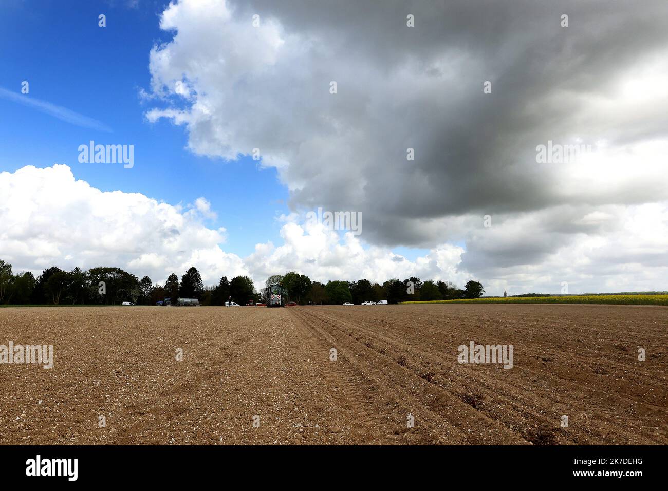 ©PHOTOPQR/VOIX DU NORD/Ludovic Maillard ; 12/05/2021 ; Neuville St vaast le 12.05.2021, plantation de deux hectares de vignes entre arras et Lens. LA VOIX DU NORD / PHOTO LUDOVIC MAILLARD - Neuville St Vaast, France, mai 12th 2021. Plantation de deux hectares de vignes dans le nord de la France Banque D'Images