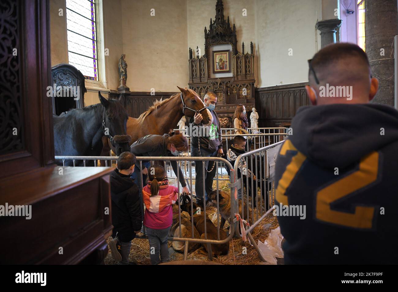 ©PHOTOPQR/VOIX DU NORD/PIERRE ROUANET ; 17/10/2021 ; 17/10/2021. Moutons, chèvres, chevaux, chevens, chats, oiseaux et autres têtes à plumes et à poils, à la messe. Une messe de prédiction des animales, calérée ce manche matin dans le cadre de la saint François d’Assise, à Escaudain, dans l’église Saint-Martin (religion, catholique, christianisme). PHOTO PIERRE ROUANET LA VOIX DU NORD - Dessez vos animaux de compagnie à la fête de Saint-Laurent François d'Assise France, Escaudain 17 octobre 2021 Banque D'Images