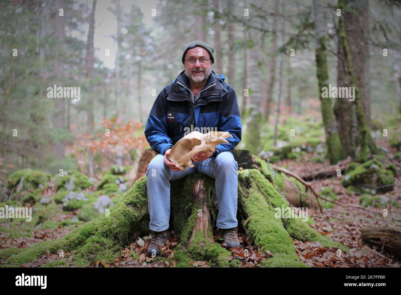 ©PHOTOPQR/LE DAUPHINE/Benoit LAGNEX ; Villard-de-Lans ; 22/11/2021 ; des réductions de neuf Ours ont été sorties dans le Vercors, entre Villard-de-Lans et Corrençon. Pour régis Picavet, archéologue, ces Ours pourraient dater de plus de 60 000 ans. Villars de Lans, France, novembre 22ns 2021. Des os de neuf ours ont été trouvés dans les Vercors, entre Villard-de-Lans et Corrençon. Pour régis Picavet, archéologue, ces ours pourraient remonter à plus de 60 000 ans. Banque D'Images