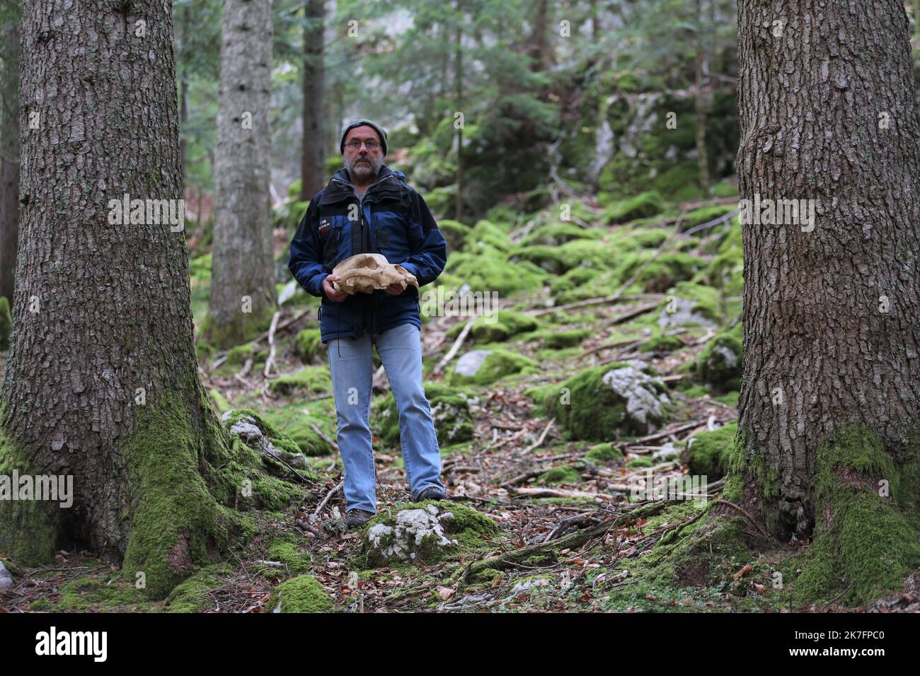 ©PHOTOPQR/LE DAUPHINE/Benoit LAGNEX ; Villard-de-Lans ; 22/11/2021 ; des réductions de neuf Ours ont été sorties dans le Vercors, entre Villard-de-Lans et Corrençon. Pour régis Picavet, archéologue, ces Ours pourraient dater de plus de 60 000 ans. Villars de Lans, France, novembre 22ns 2021. Des os de neuf ours ont été trouvés dans les Vercors, entre Villard-de-Lans et Corrençon. Pour régis Picavet, archéologue, ces ours pourraient remonter à plus de 60 000 ans. Banque D'Images