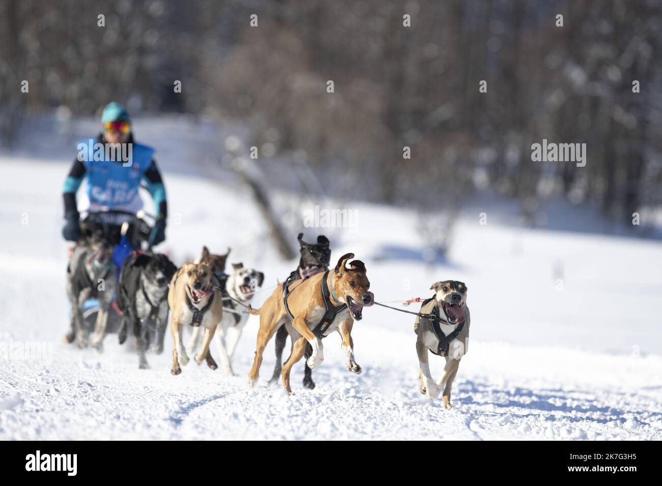 ©PHOTOPQR/LE DAUPHINE/Grégory YETCHMENIZA ; Megève ; 12/01/2022 ; Grégory YETCHMENIZA / LE DAUPHINE LIBERE / Photoqr MEGÈVE (HAUTE-SAVOIE) LE 12 JANVIER 2022 LA GRANDE ODYSSEE MONT BLANC Etape 4 MEGÈVE Côte 2000 68 10, 600 400km stations de FLEURS ET 20. Banque D'Images