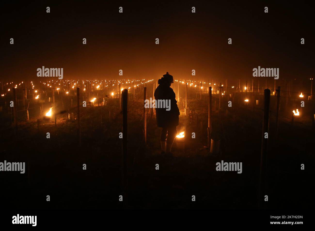 ©PHOTOPQR/Sud Ouest/Laurent Theillet ; Libourne ; 03/04/2022 ; Gel dans les vignes, la région de Libourne les appellations Saint Emilion et Pomerol lutte contre le coup de froid . Libourne le 3 avril 2022; photo Laurent Theillet / Sud Ouest Libourne; 03/04/2022; Frost dans les vignes, la région de Libourne, les appellations Saint Emilion et Pomerol luttent contre la cagnotte froide. Les vignerons installent des appareils de chauffage (brulôts) au milieu des rangées de vignes. Banque D'Images