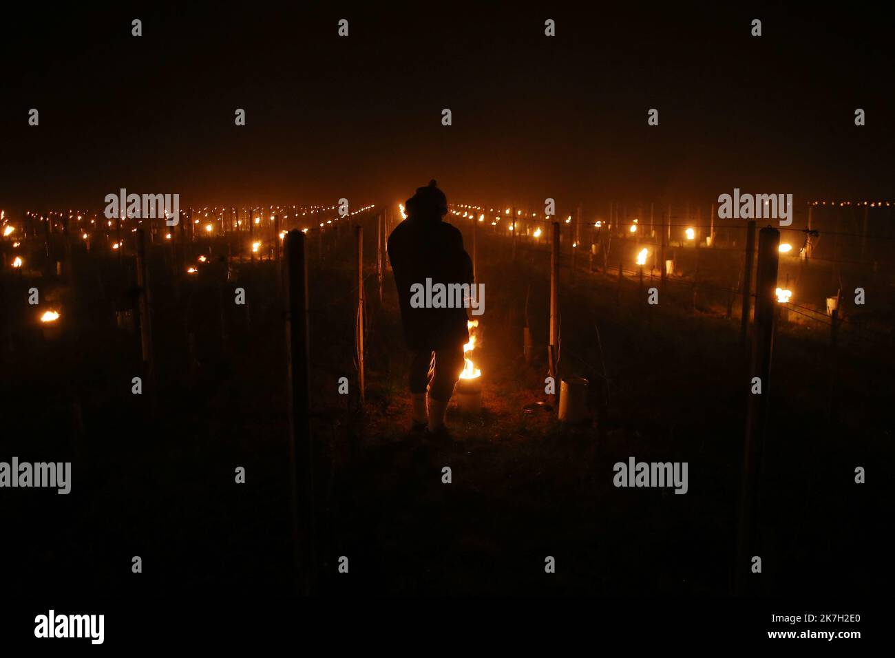 ©PHOTOPQR/Sud Ouest/Laurent Theillet ; Libourne ; 03/04/2022 ; Gel dans les vignes, la région de Libourne les appellations Saint Emilion et Pomerol lutte contre le coup de froid . Libourne le 3 avril 2022; photo Laurent Theillet / Sud Ouest Libourne; 03/04/2022; Frost dans les vignes, la région de Libourne, les appellations Saint Emilion et Pomerol luttent contre la cagnotte froide. Les vignerons installent des appareils de chauffage (brulôts) au milieu des rangées de vignes. Banque D'Images