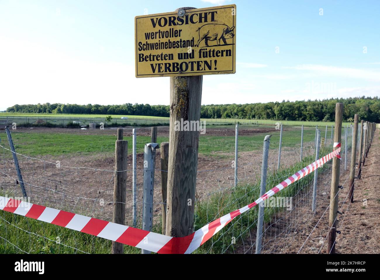 ©PHOTOPQR/DNA/Franck DELHOMME ; ; 26/05/2022 ; découverte d'un foyer de porc africaine dans une exploitation agricole allumée d'environ 35 cochons situés à Forchheim am Kaiserstuhl à environ 10 km de la frontière française. - Une épidémie de peste porcine africaine a été détectée dans une ferme porcine en Allemagne, à 6 kilomètres de la frontière française, à Forchheim am Kaiserstuhl, a annoncé jeudi le ministère français de l'Agriculture. La ferme touchée, qui compte 35 porcs en liberté, a été complètement dépeuplement. Banque D'Images
