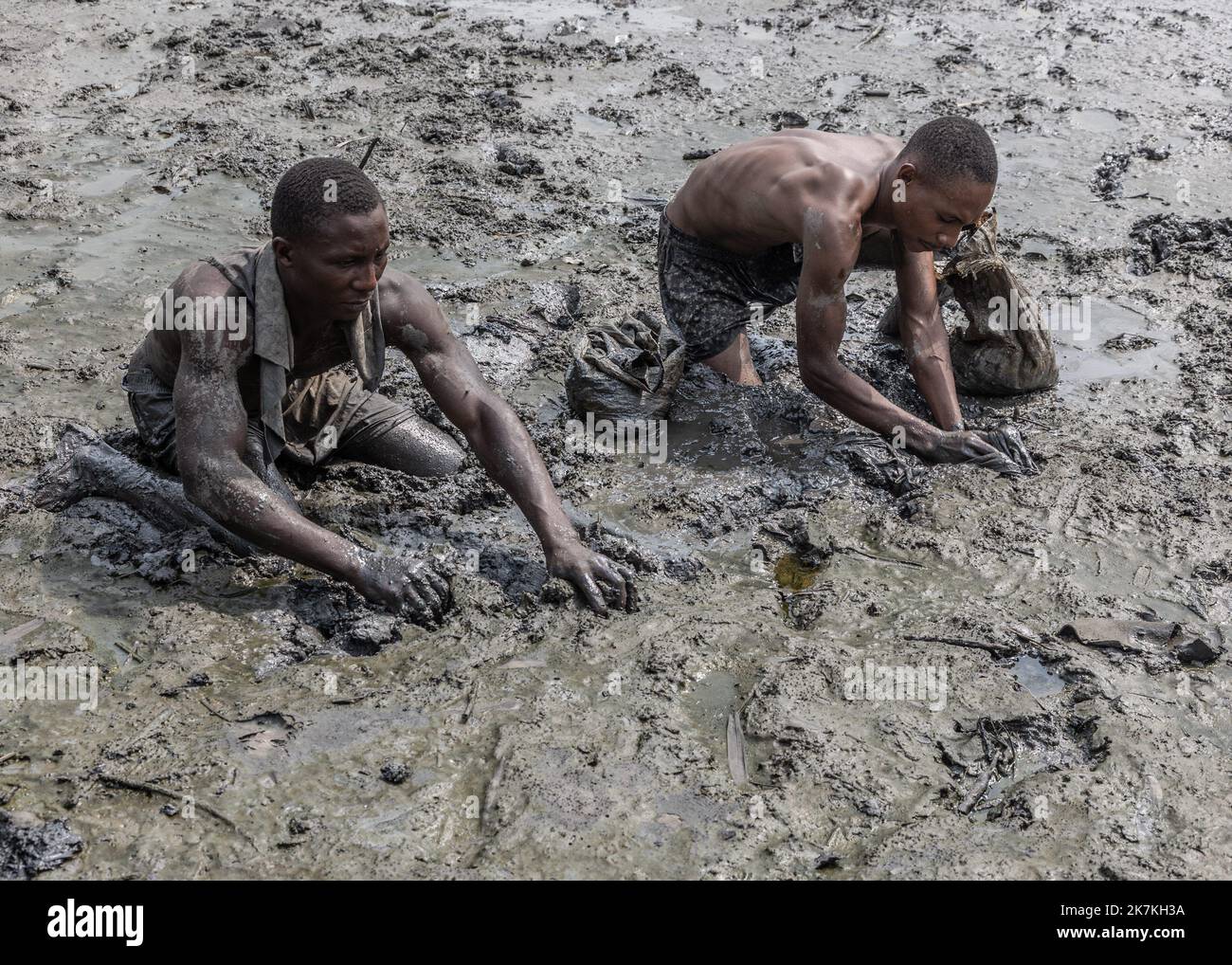 ©Sadak Souici / le Pictorium/MAXPPP - 22/01/2022 Sadak Souici / le Pictorium - 22/1/2022 - Nigeria - Adubajah Bakpo et son collégial Tanen Nwinelgior louer la boue remaplie de perôle pour aller les crabes. Dans le Delta du Niger, d'or jaillissent quotidiennement pres de 2% de la production mondiale d'hydrocarbures, les serres noires se multiplent et ruinent d'intombrbles communautaires de pêcheurs et d'agriculteurs. Si certains sont assignés en justice les majors petrolieres responsables du desastre, les indemnités et le nettoyage n'ont pas permis de réduire la prospère due. Ce Banque D'Images