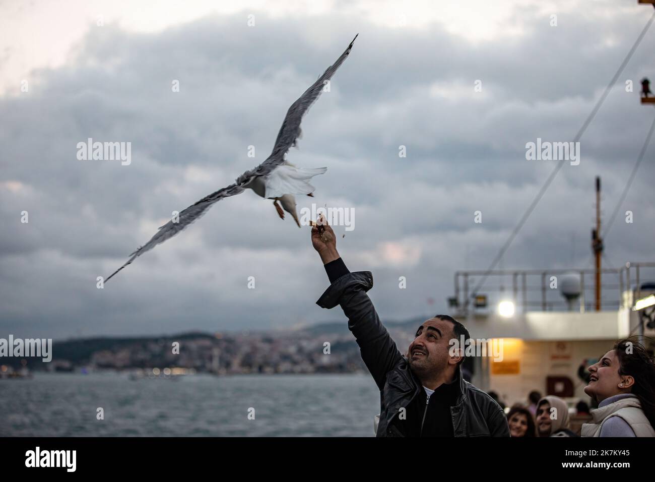 Istanbul, Turquie. 17th octobre 2022. Alors qu'il était nuageux à Istanbul, les passagers sur la terrasse des lignes de la ville ferry vu nourrir les mouettes. Crédit : SOPA Images Limited/Alamy Live News Banque D'Images