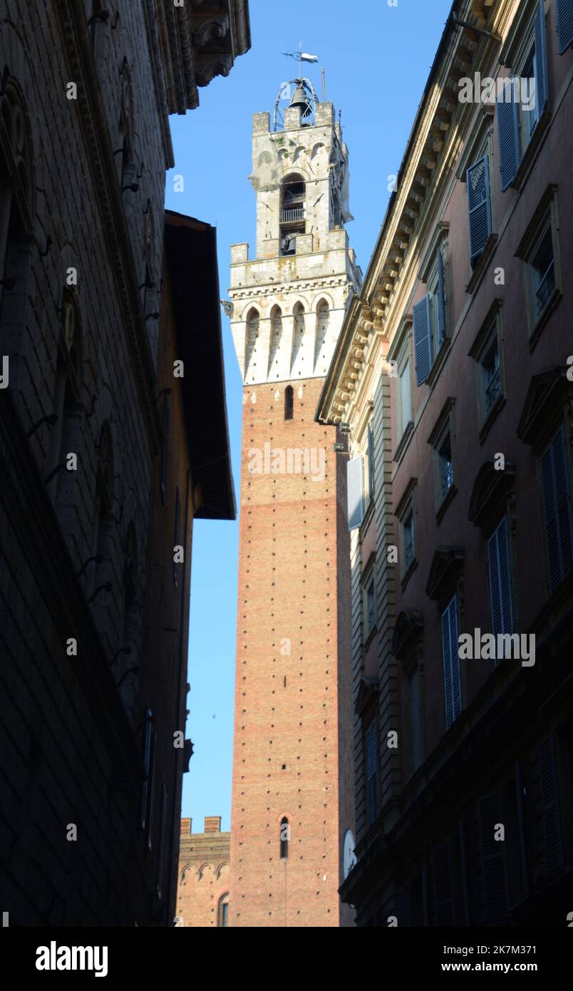 Piazza del Campo est la place en forme de coquille où se déroule le Palio di Siena. Le Palazzo Pubblico et la Torre del Mangia dominent la place Banque D'Images
