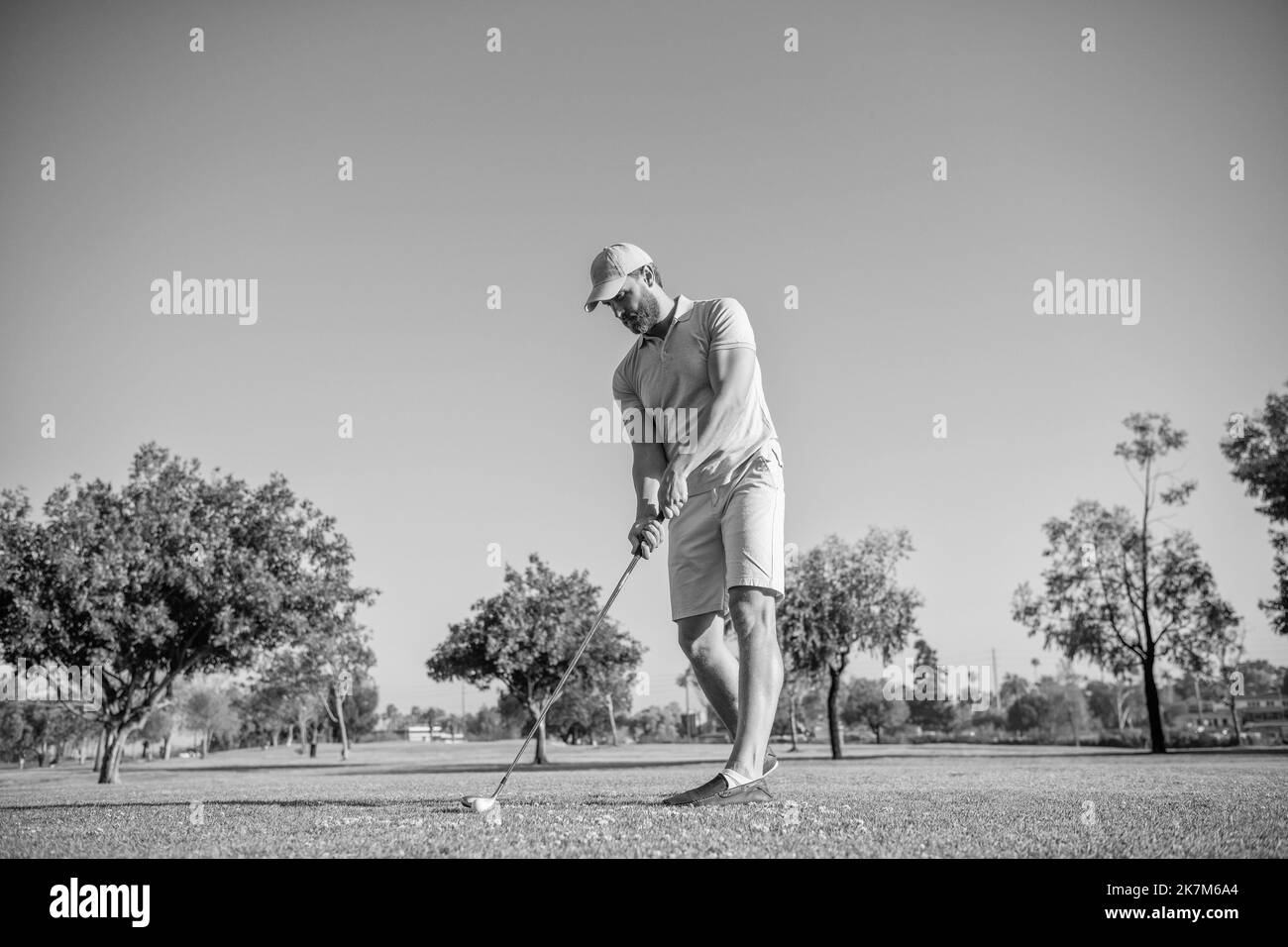 homme en pleine longueur jouant au golf sur l'herbe verte, sport Banque D'Images