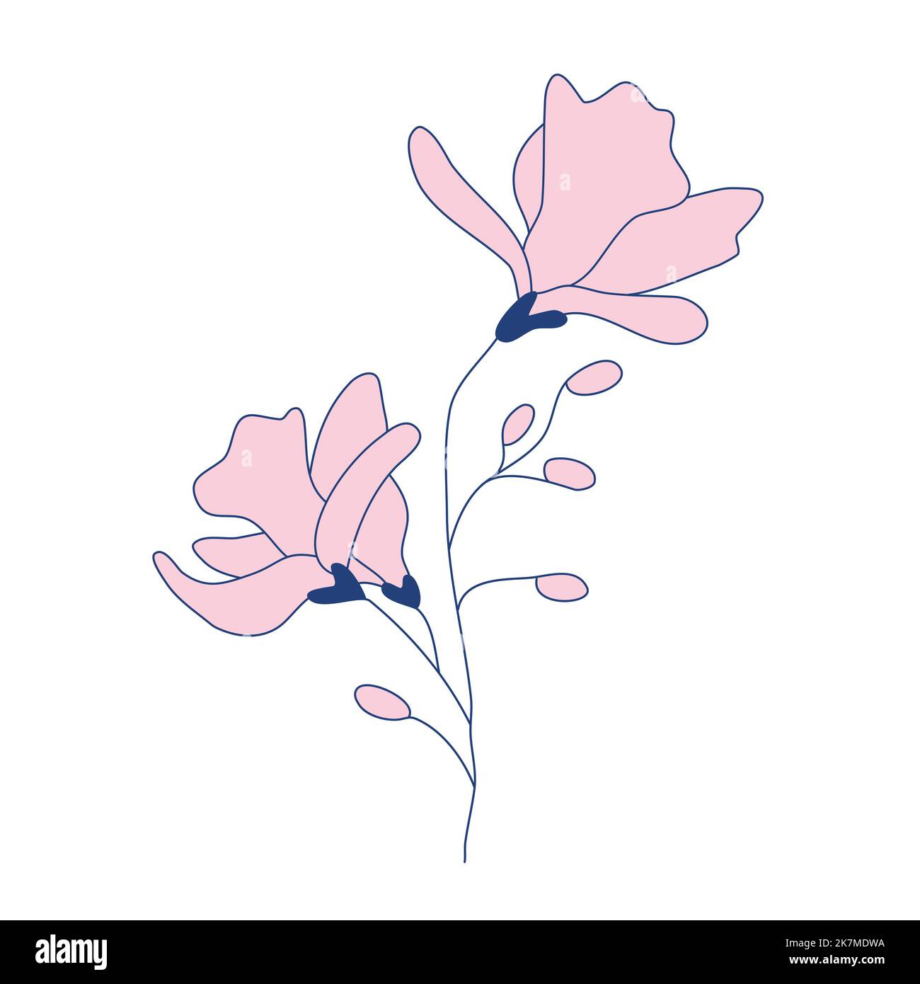 Branche magnolia avec boutons et fleurs, motif floral de couleur botanique. Motifs floraux pour une couverture murale à imprimé tatouage. Esthétique élégante illustration vectorielle simple et subtile. Illustration de Vecteur