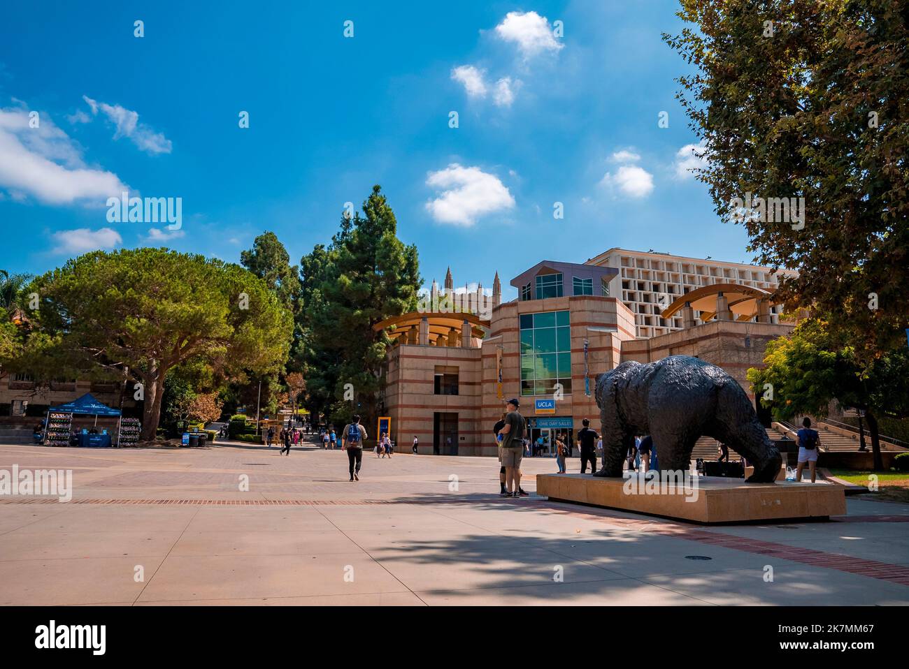 UCLA Bruin Bear sur le campus de l'Université de Californie à Los Angeles. Banque D'Images