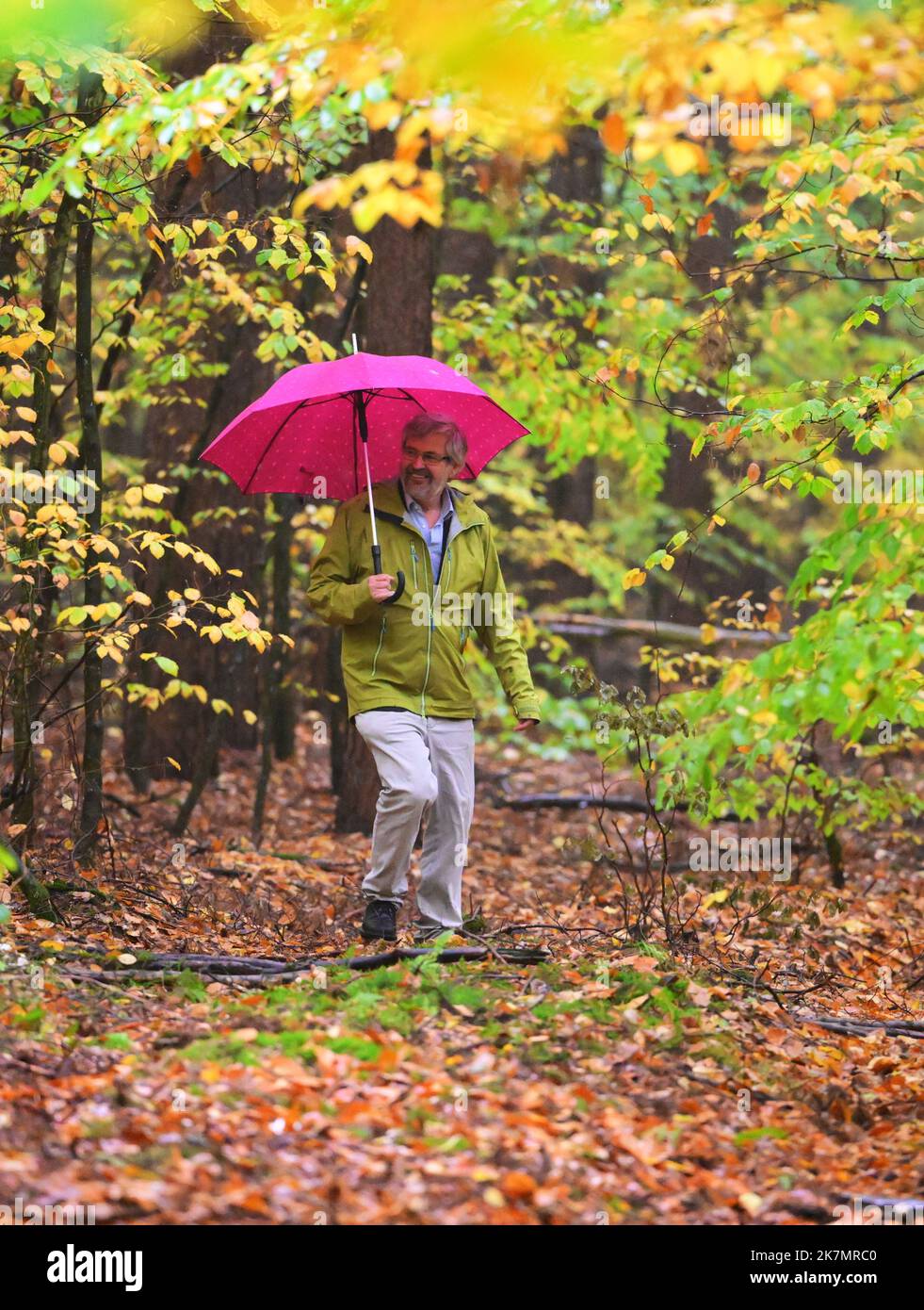 18 octobre 2022, Brandebourg, Chorin: Axel Vogel (Bündnis 90/Die Grünen), ministre de l'Agriculture, de l'Environnement et de la protection du climat de Brandebourg, marche sous un parapluie entre les arbres d'une zone d'essai du Landeskompetenzzentrum Forst Eberswalde (LFE) sur un chemin étroit. La conversion de la forêt avec des hêtres de cuivre et des pins mis en œuvre sur la parcelle d'essai est exemplaire pour la pratique forestière du Brandebourg. Entre autres choses, les questions de la régulation de la lumière en intervenant dans la canopée de pin, l'influence du jeu quand les clôtures ne sont pas utilisées, et la diversification par le biais d'autres mixtes et de la compaa Banque D'Images