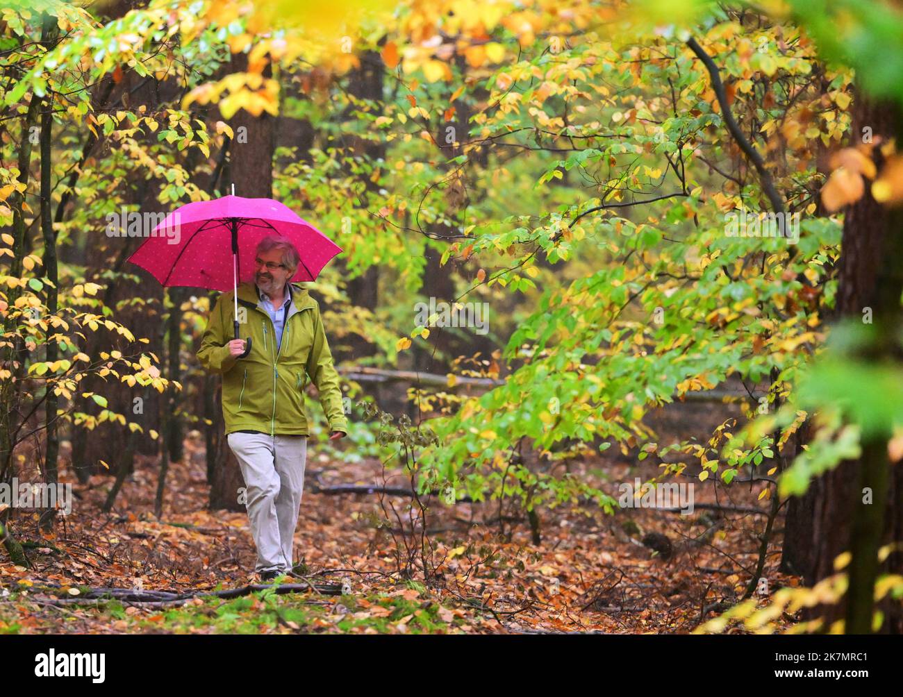 18 octobre 2022, Brandebourg, Chorin: Axel Vogel (Bündnis 90/Die Grünen), Ministre de l'agriculture, de l'environnement et de la protection du climat de Brandebourg, marche sous un parapluie entre les arbres d'une zone d'essai du Centre de compétence de l'Etat Forestry Eberswalde (LFE) sur un chemin étroit. La conversion de la forêt avec des hêtres rouges et des pins mis en œuvre sur la parcelle d'essai est exemplaire pour la pratique forestière du Brandebourg. Entre autres choses, les questions de la régulation de la lumière en intervenant dans la canopée de pin, l'influence du jeu quand les clôtures ne sont pas utilisées, et la diversification par le biais d'autres mixtes et de la compaa Banque D'Images