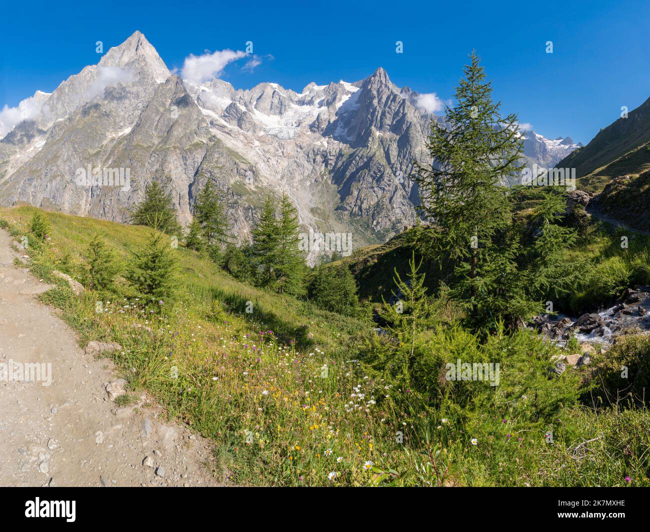Le massif des Grands Jorasses de la vallée du Val Ferret en Italie - Trekking Mont blanc. Banque D'Images