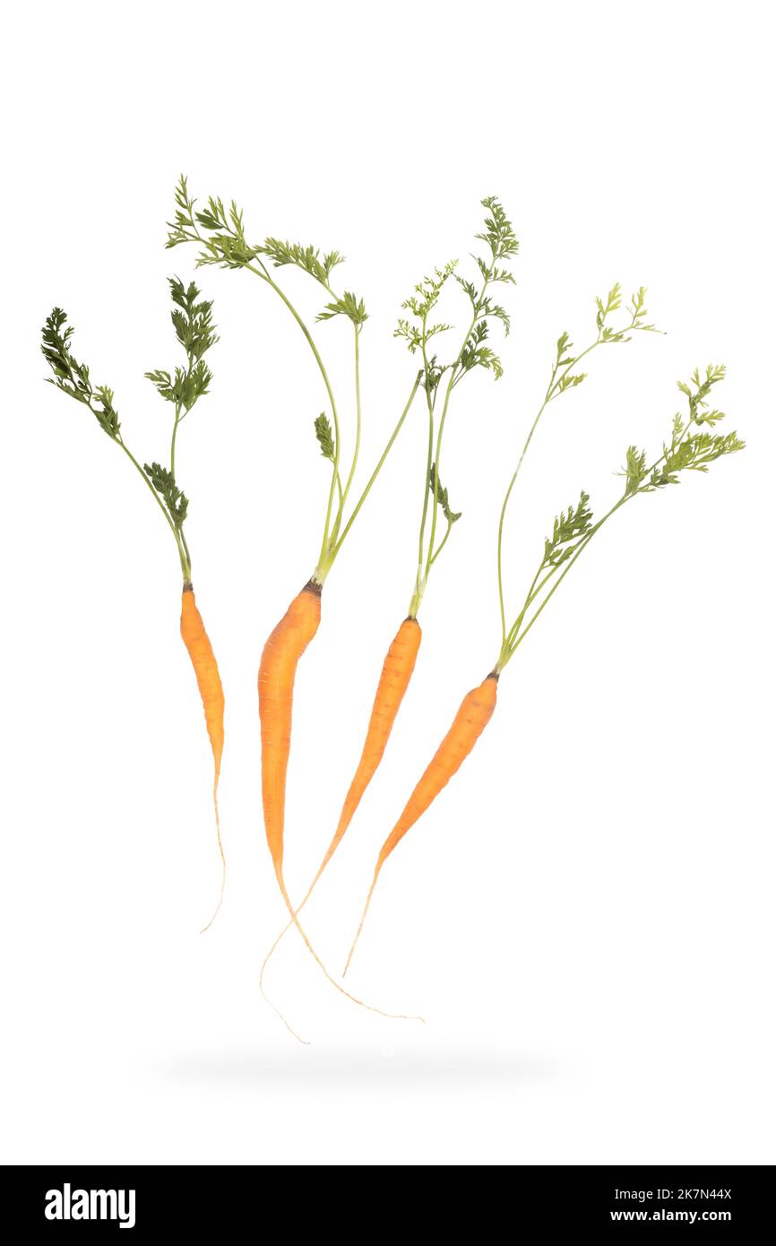 carotte fraîche avec feuilles isolées sur blanc Banque D'Images