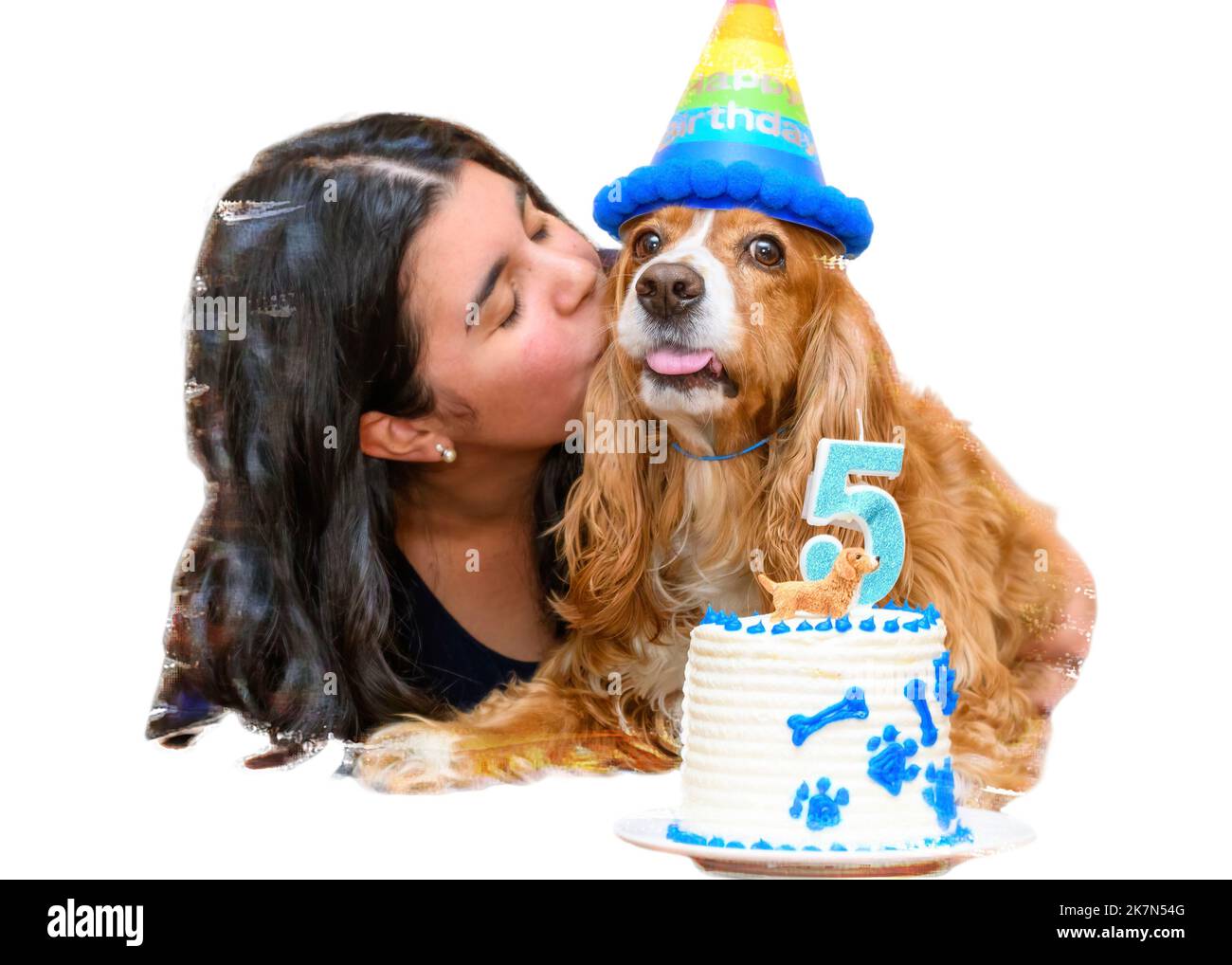 Une jeune femme brune célèbre le cinquième anniversaire de son animal de compagnie de chien de l'épagneul cocker Banque D'Images Une jeune femme brune célèbre le cinquième anniversaire de son animal de compagnie de chien de l'épagneul cocker Banque D'Images