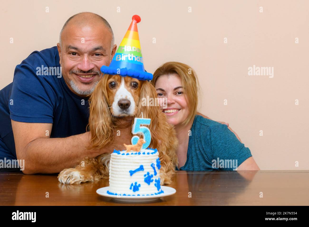 Famille latino-américaine célébrant le cinquième anniversaire de leur animal de compagnie de caniel Cocker Banque D'Images