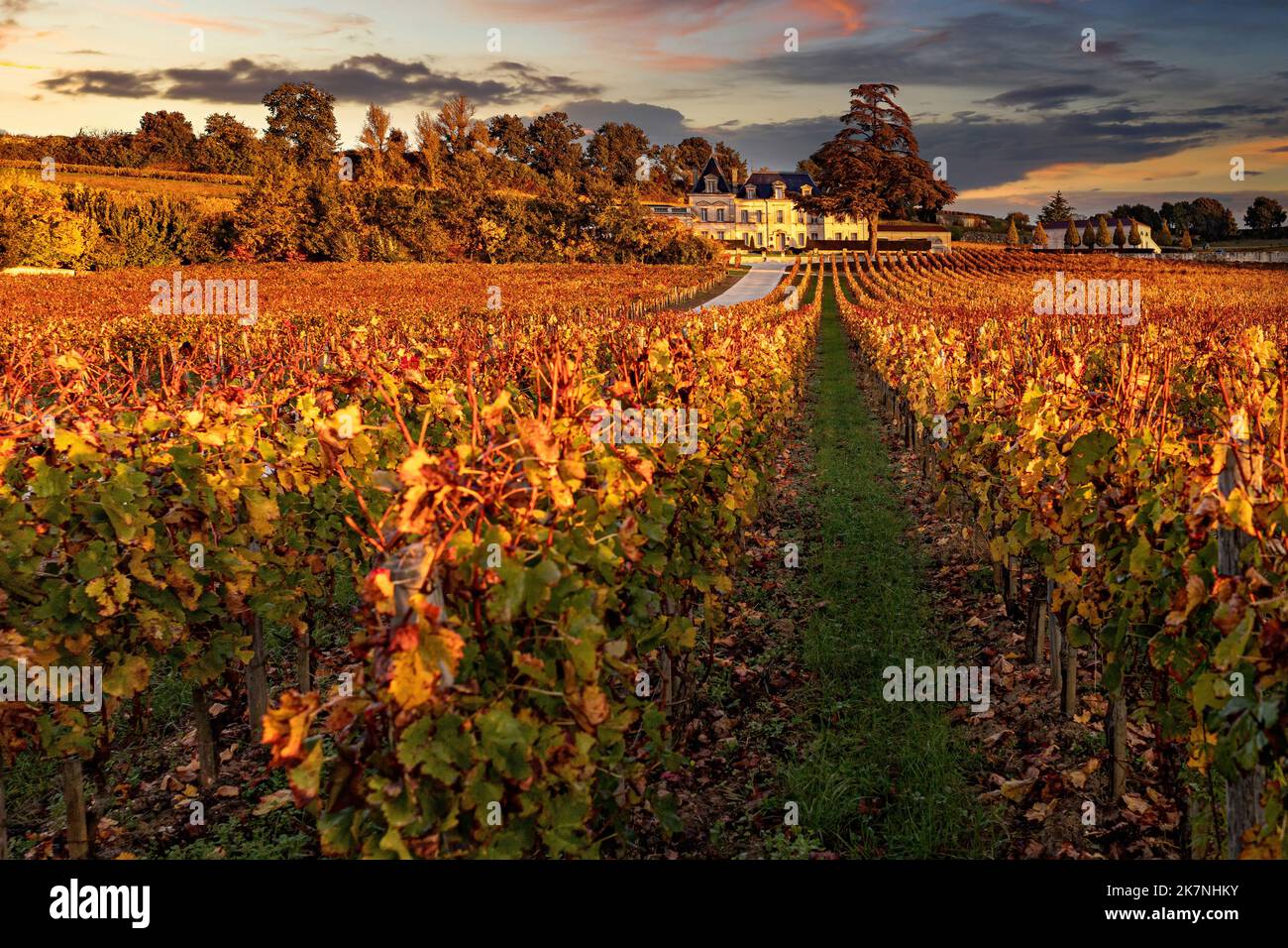 Saint Emilion (sud-ouest de la France) : le château de Fonplegade, le château de Fonplegade et ses vignobles au coucher du soleil, illuminés par une lumière de ciel brûlante Banque D'Images