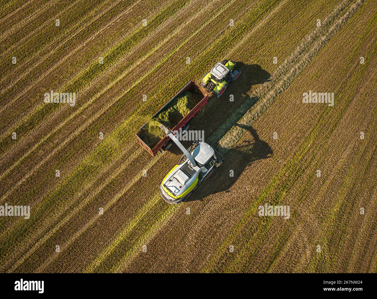 Travaux agricoles... Ensilage d'herbe, vue aérienne Banque D'Images