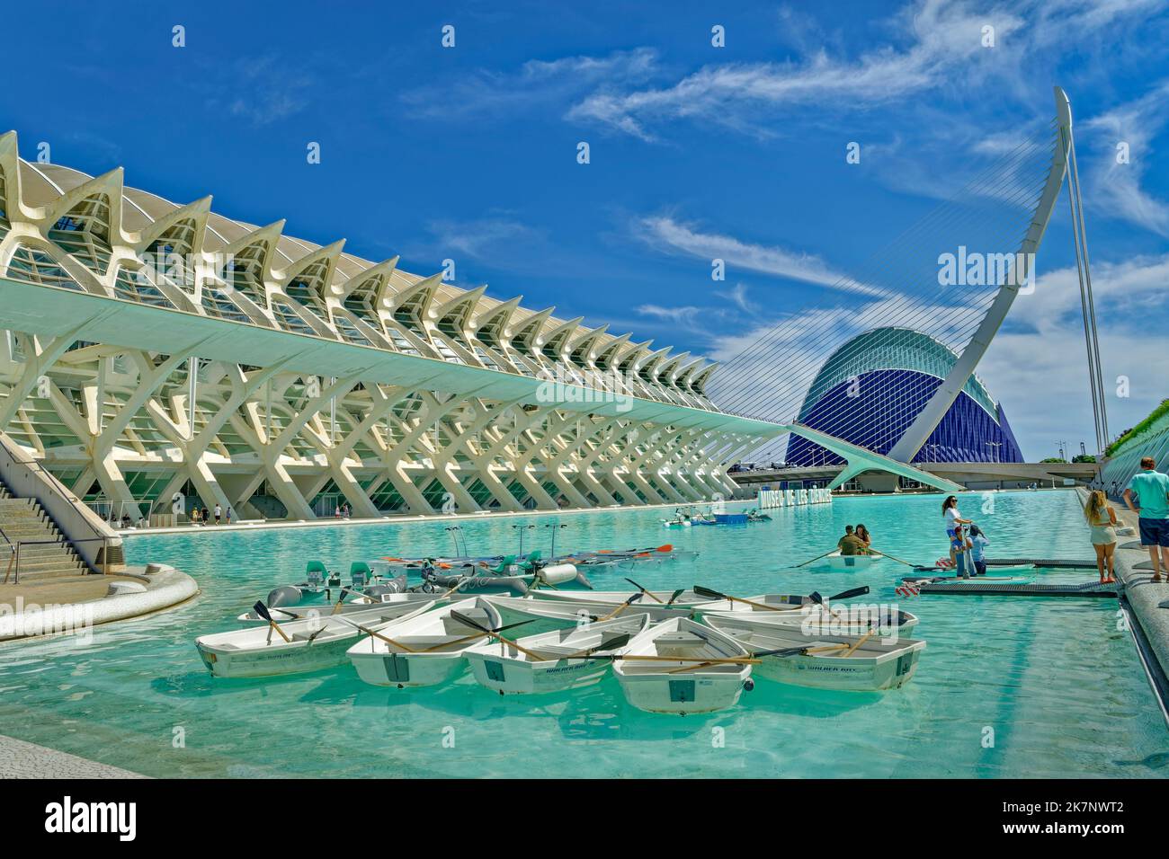 Le Musée des Sciences de la Cité des Arts et des Sciences avec étang de navigation à Valence, province de Valence, Espagne. Banque D'Images