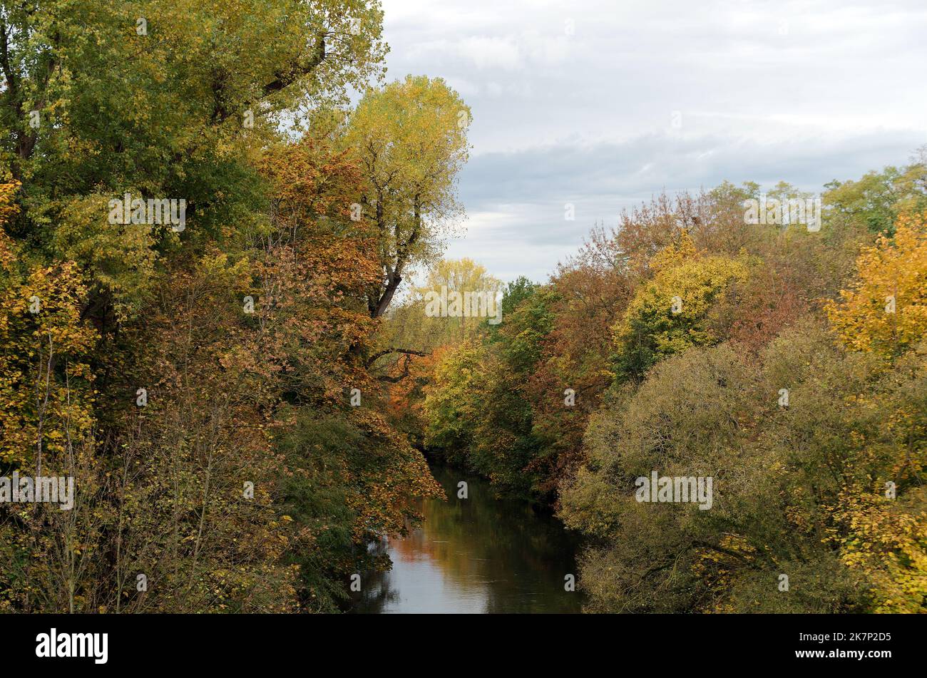 Ambiance d'automne, couleurs automnales sur les arbres le long d'une rivière Banque D'Images