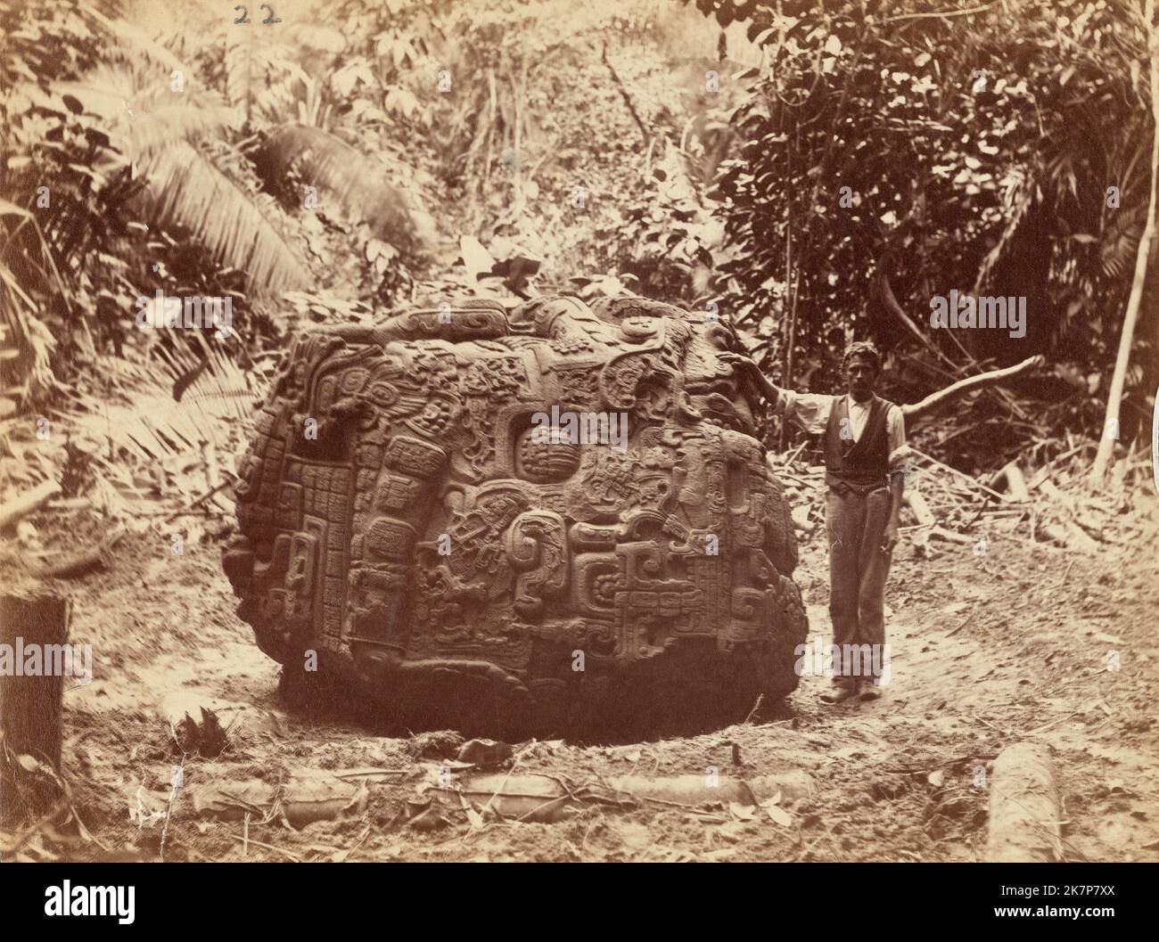 Photographie en noir et blanc (vers 1880-1899) de la sculpture en pierre de la Grande Tortue sur les ruines mayas de Quirigua, au Guatemala, par Alfred Percival Maudslay Banque D'Images