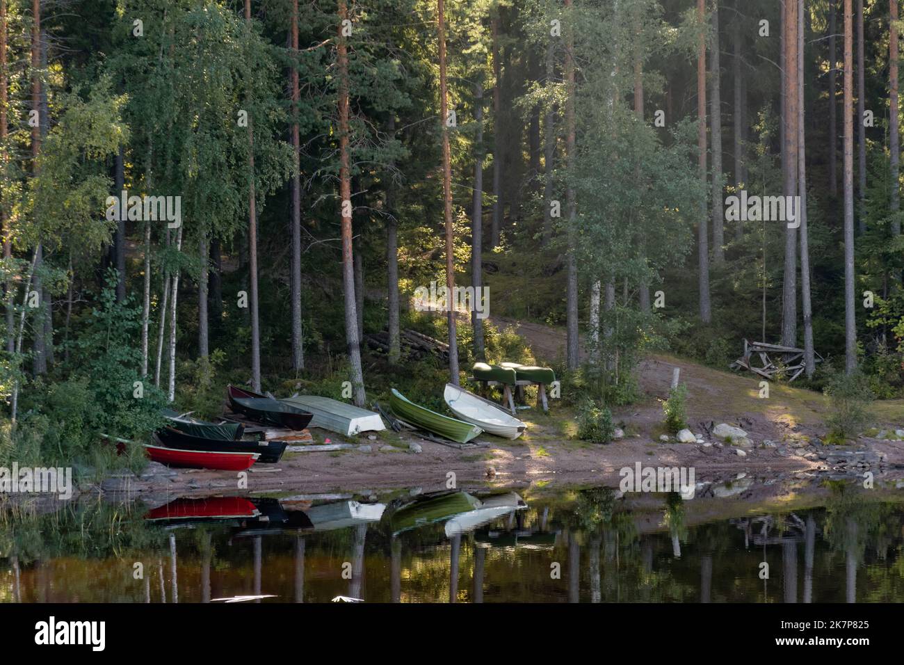 Un groupe de petits bateaux sur une plage en Finlande avec des troncs de pins reflétant du lac. Parc national de Repovesi, Kouvola. Banque D'Images