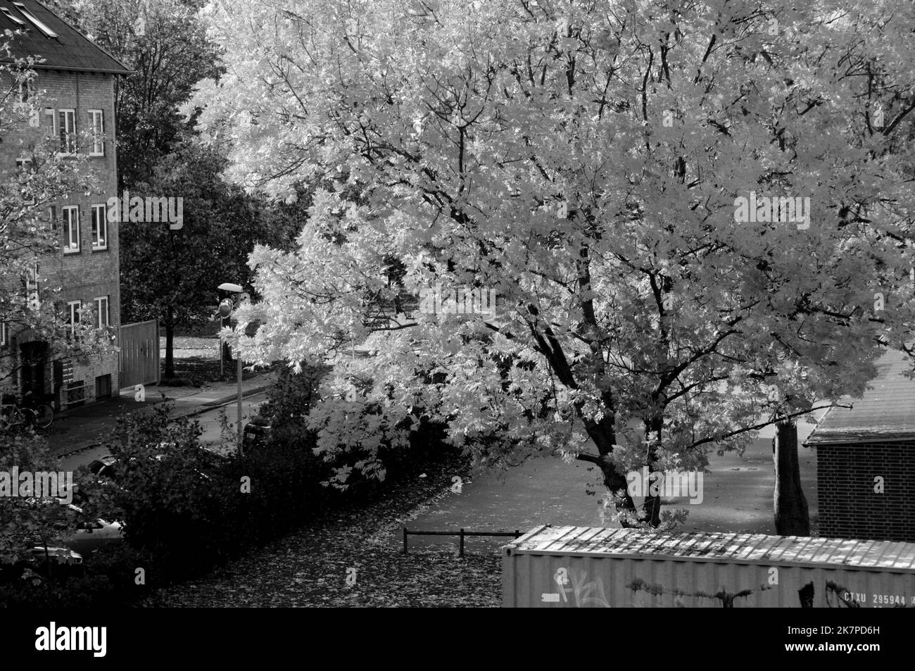 Kastrup/Copenhague /Danemark/18 octobre 2022/automne météo jaune feuilles d'arbre et bleu reste conteneur fr travailleurs à Kastrup. (Photo. Francis Dean/Dean Pictures. Banque D'Images