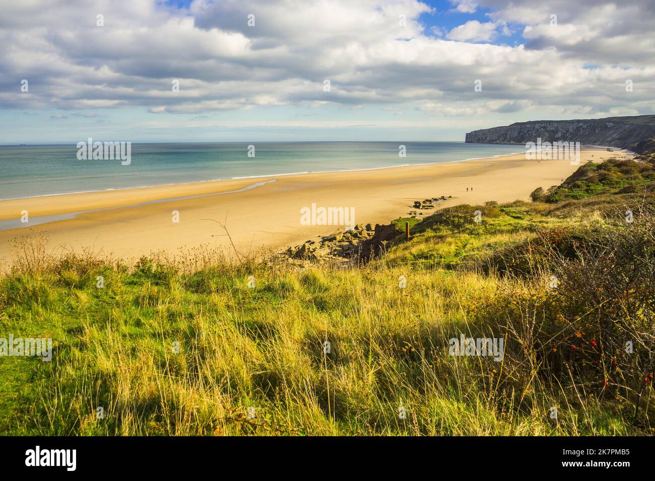 Vue sur les sables de Reighton et Speeton depuis le sommet de la falaise. Banque D'Images