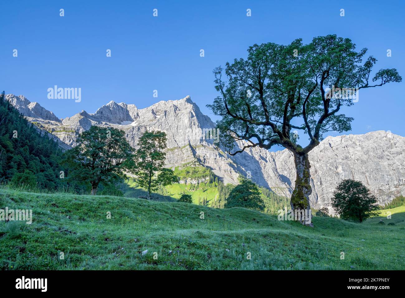 Les murs du matin des montagnes Karwendel - les murs de Spitzkar spitze et Grubenkar spitze d'Enger Tall - Grosser Ahornboden walley. Banque D'Images