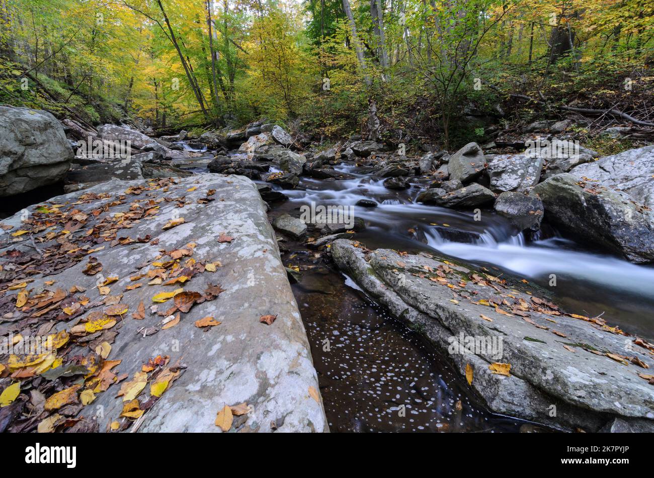 Les eaux qui se précipitent de Big Hunting Creek dans le parc de montagne Catoctins avec les couleurs d'automne dans les arbres derrière Banque D'Images