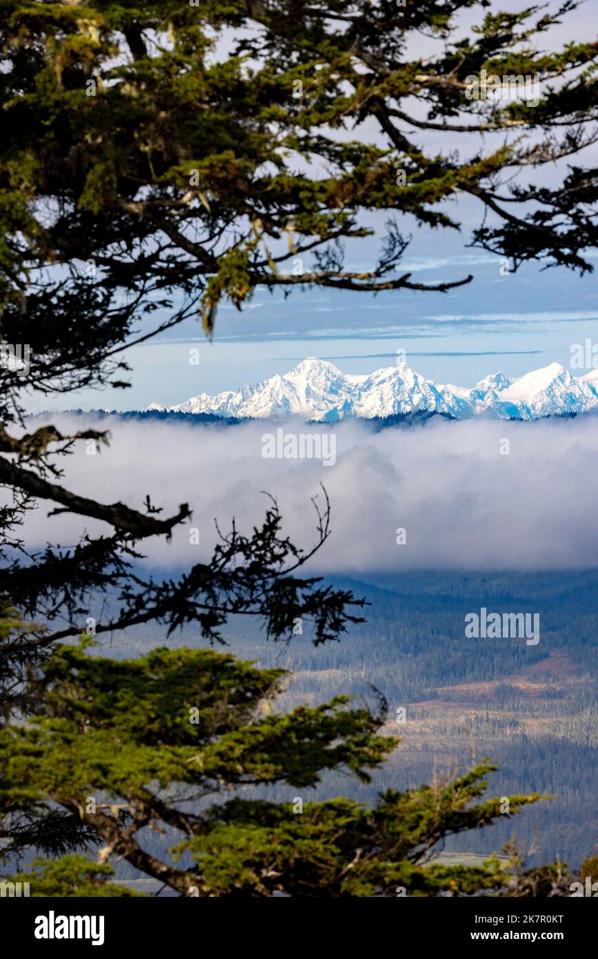Vues depuis le sommet de Hoonah Mountain - Icy Strait point, Hoonah, Alaska, États-Unis Banque D'Images