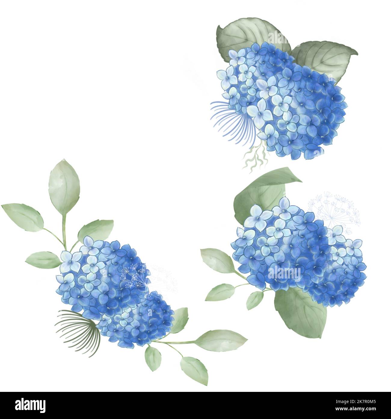 Ensemble d'éléments d'hortensias bleus avec feuilles vertes. Aquarelle peinture.Nice design pour l'invitation de mariage, carte greetibg, réseaux sociaux. Banque D'Images