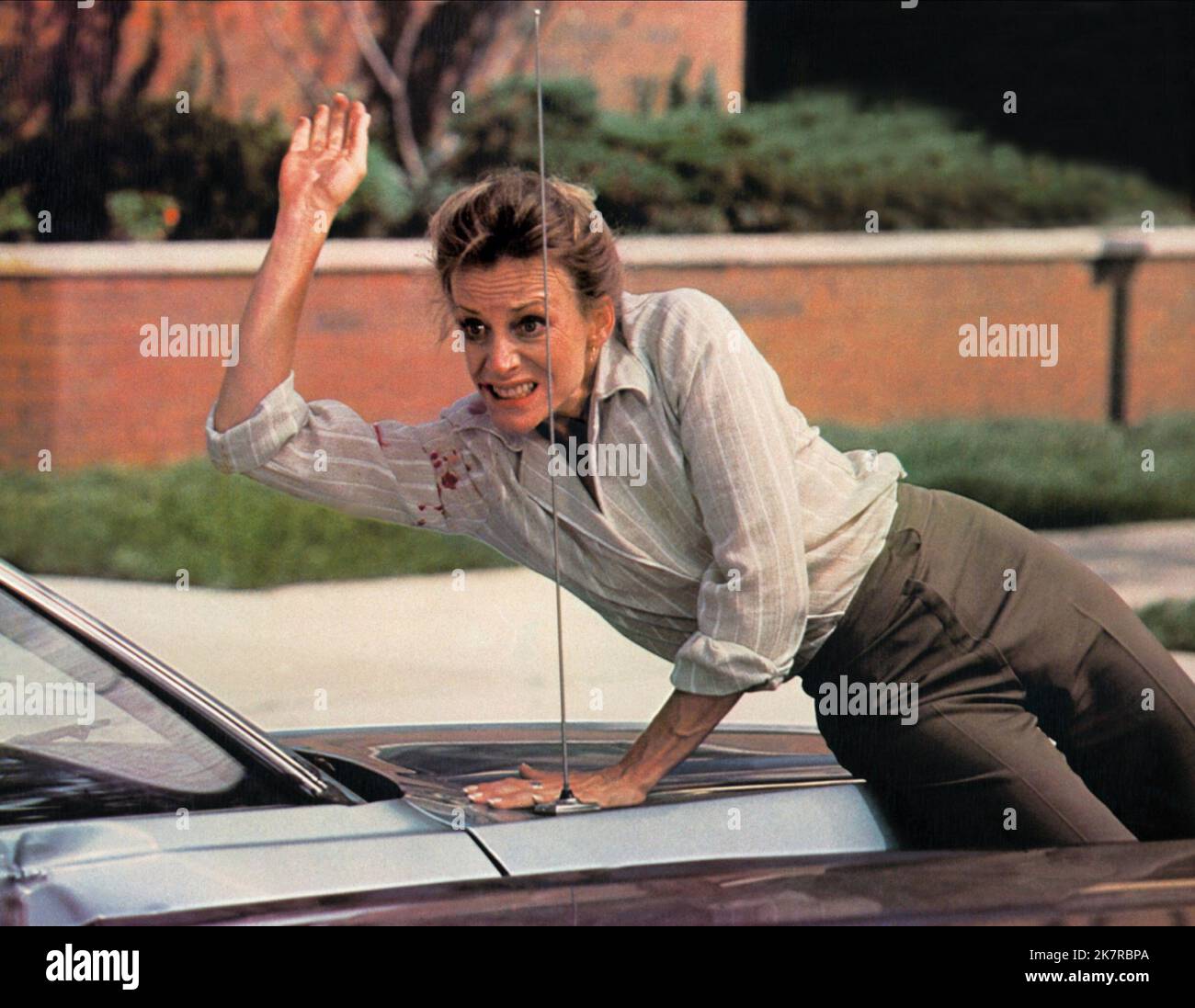 Carrie Snodgress film The Fury (1970) personnages : Hester réalisateur : Brian de Palma 10 mars 1978 **AVERTISSEMENT** cette photographie est réservée à un usage éditorial et est protégée par les droits d'auteur de 20TH CENTURY FOX et/ou du photographe désigné par le film ou la société de production et ne peut être reproduite que par des publications en liaison avec la promotion du film ci-dessus. Un crédit obligatoire pour 20TH CENTURY FOX est requis. Le photographe doit également être crédité lorsqu'il est connu. Aucune utilisation commerciale ne peut être accordée sans autorisation écrite de The film Company. Banque D'Images