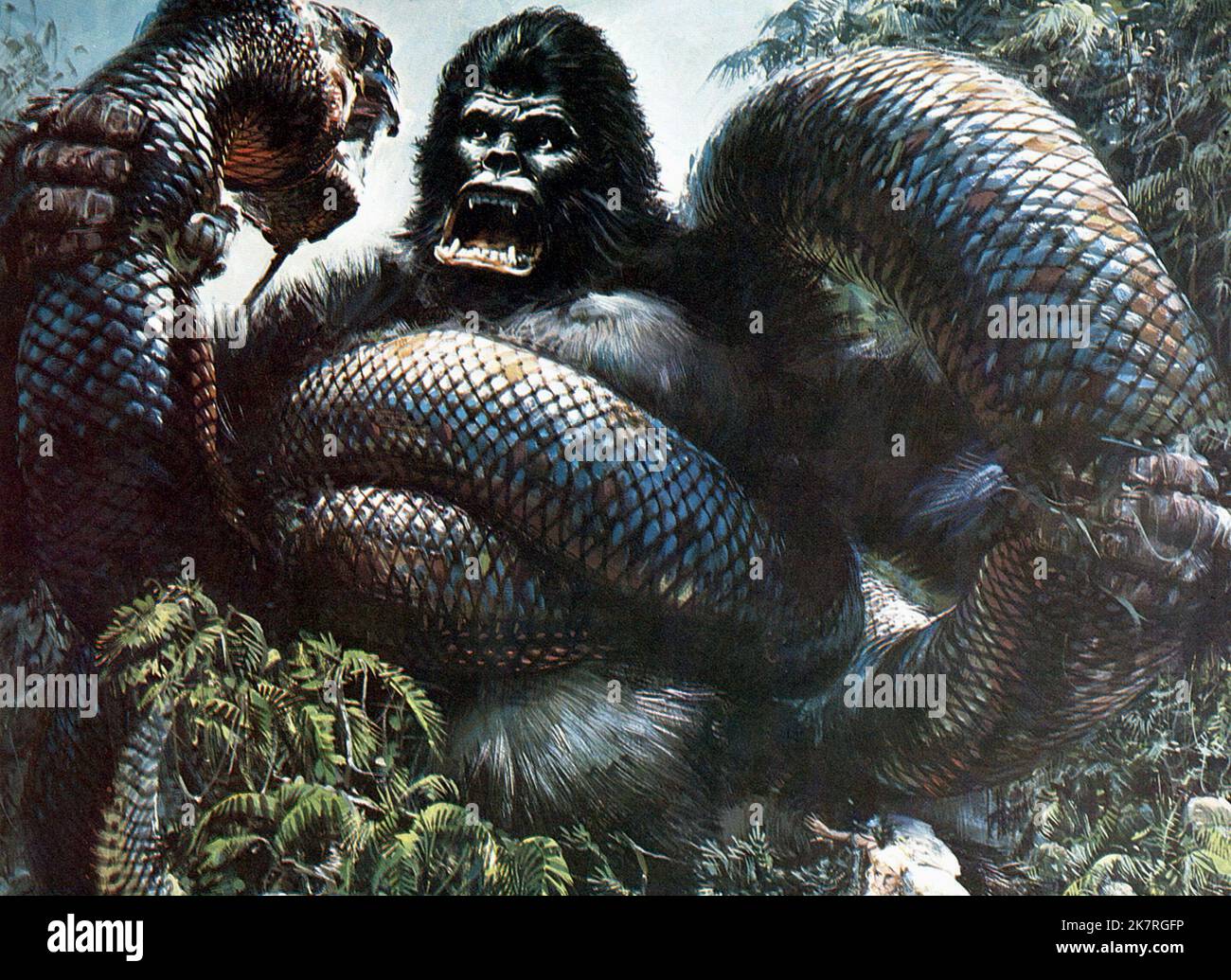 King Kong, Gorilla & Giant Snake film King Kong (USA 1976) personnages : King Kong, & réalisateur : John Guillermin 08 septembre 1976 **AVERTISSEMENT** cette photographie est à usage éditorial exclusif et est la propriété intellectuelle de LA SOCIÉTÉ DINO DE LAURENTIIS et/ou du photographe désigné par la société film ou production et ne peut être reproduite que par des publications dans le cadre de la promotion du film ci-dessus. Un crédit obligatoire à la SOCIÉTÉ DINO DE LAURENTIIS est requis. Le photographe doit également être crédité lorsqu'il est connu. Aucune utilisation commerciale ne peut être accordée sans autorisation écrite de The film Company. Banque D'Images