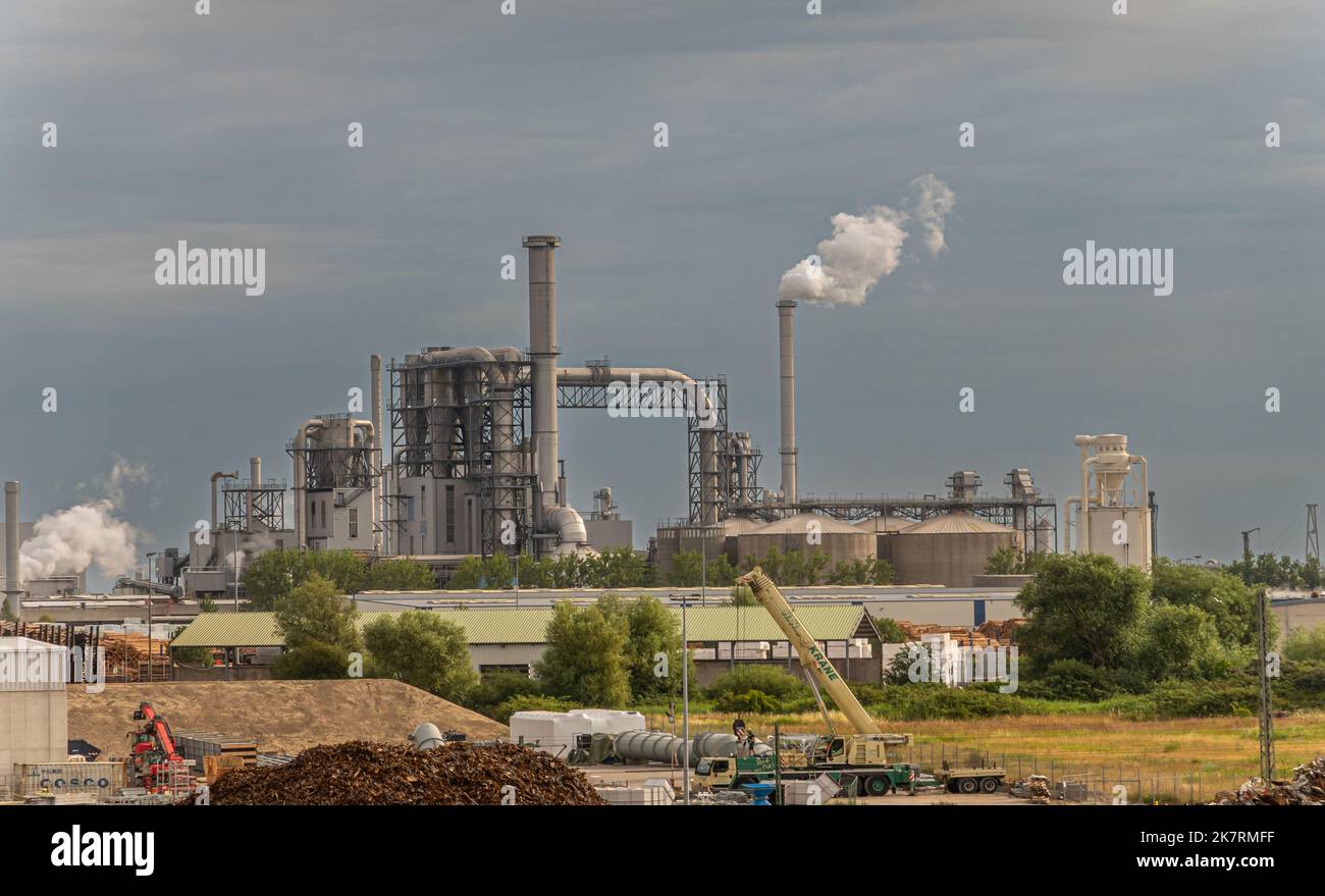 Allemagne, Wismar - 13 juillet 2022: L'usine d'Egger Holzwerkstoffe au nord du port fabrique des produits finis en bois pour la construction à grande échelle, cheminées pr Banque D'Images