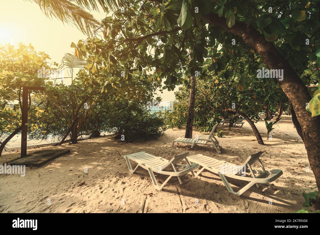 Vue panoramique sur la plage avec trois lits de repos sur le sable de corail d'un complexe de luxe à l'ombre, entouré d'arbres tropicaux en face de l'oce Banque D'Images