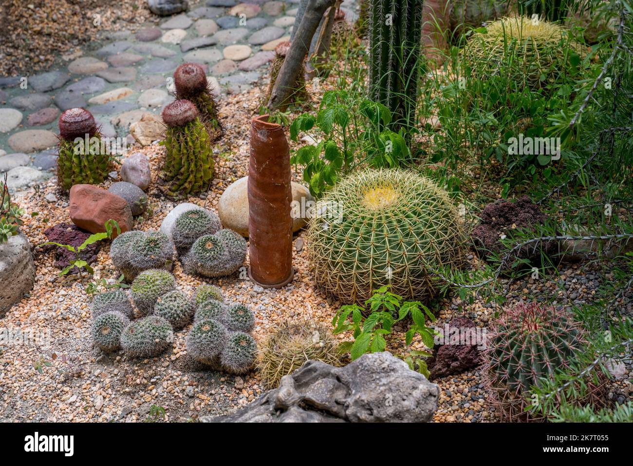 Le jardin des vives Verde (parc) de San Pablo Cuatro Venados, Oaxaca, Mexique, compte plus de 200 espèces de plantes diverses, dont la majorité sont des ende Banque D'Images